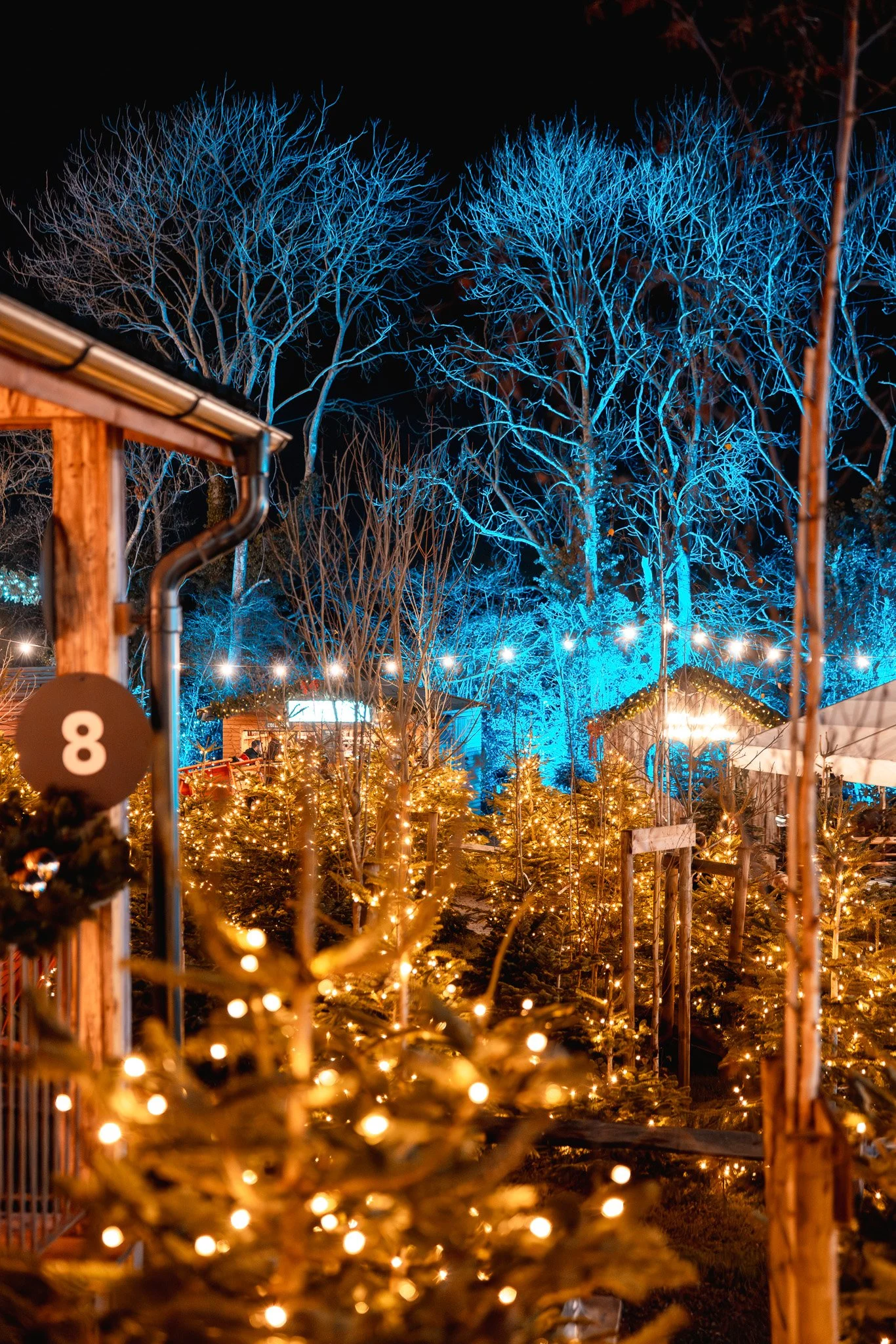 Tulley's Christmas 2025-188.jpg