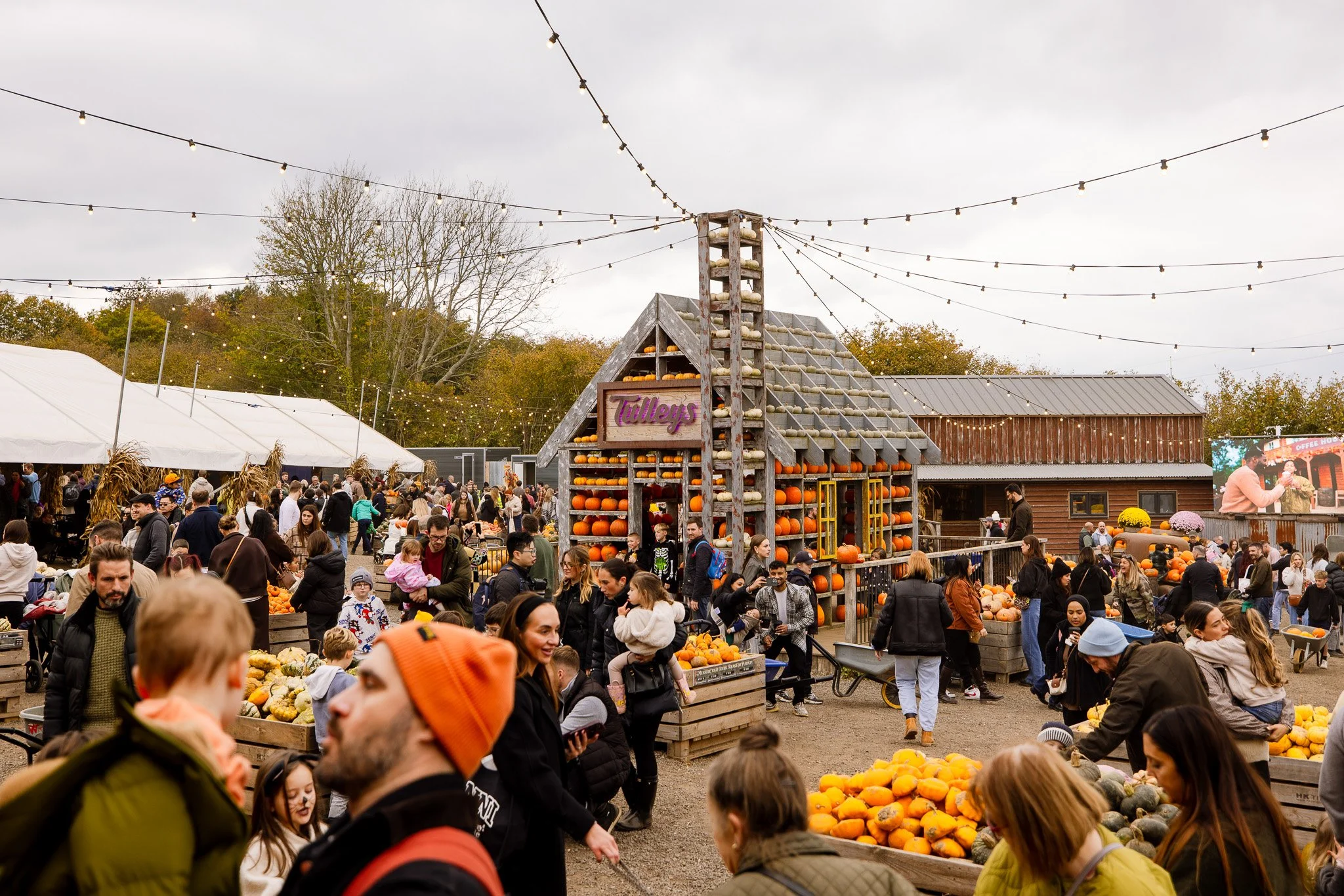 Tulleys Pumpkin Festival Photos-099.jpg