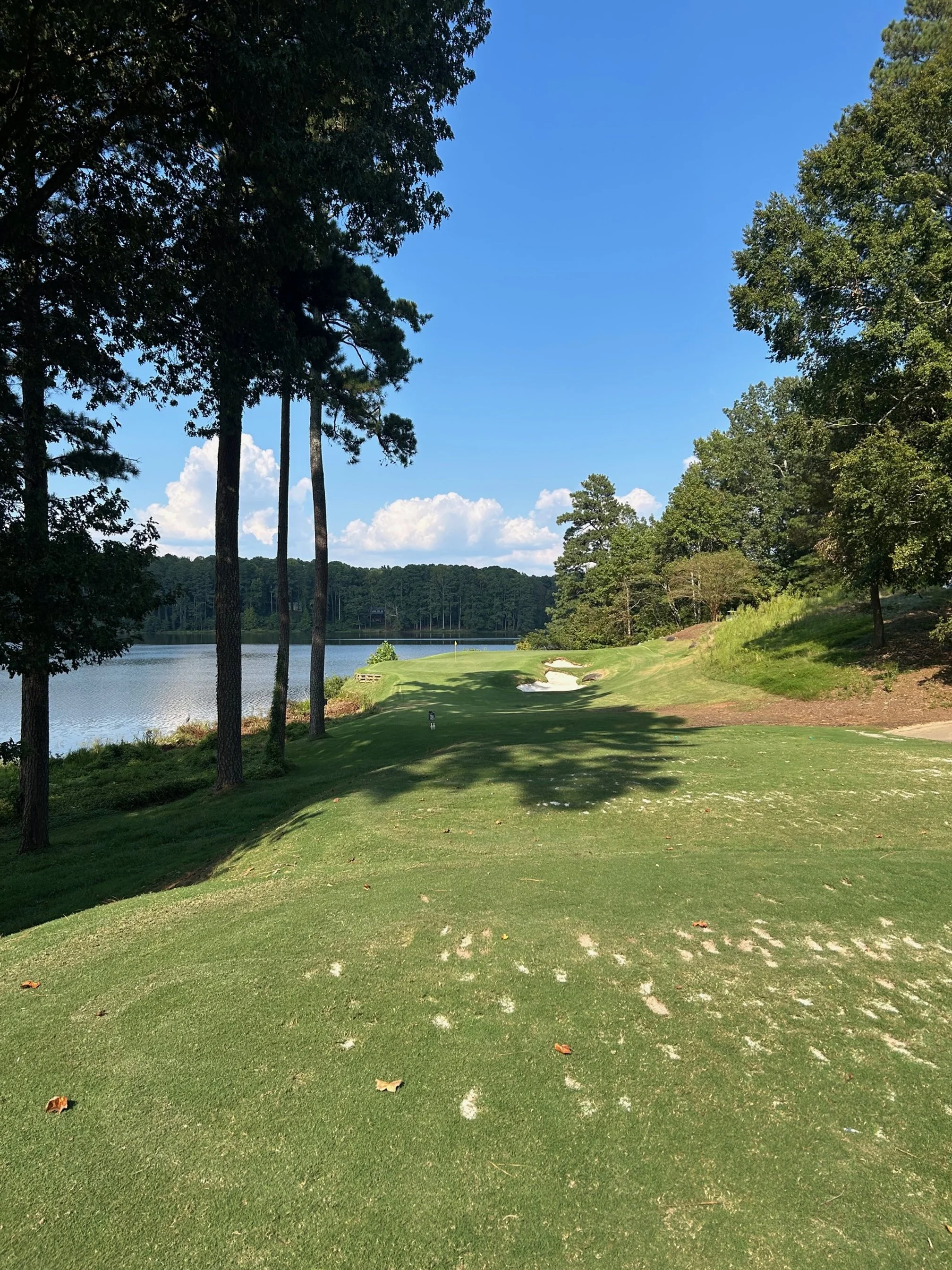 Atlanta Public Course Gem: Cobblestone Golf Course