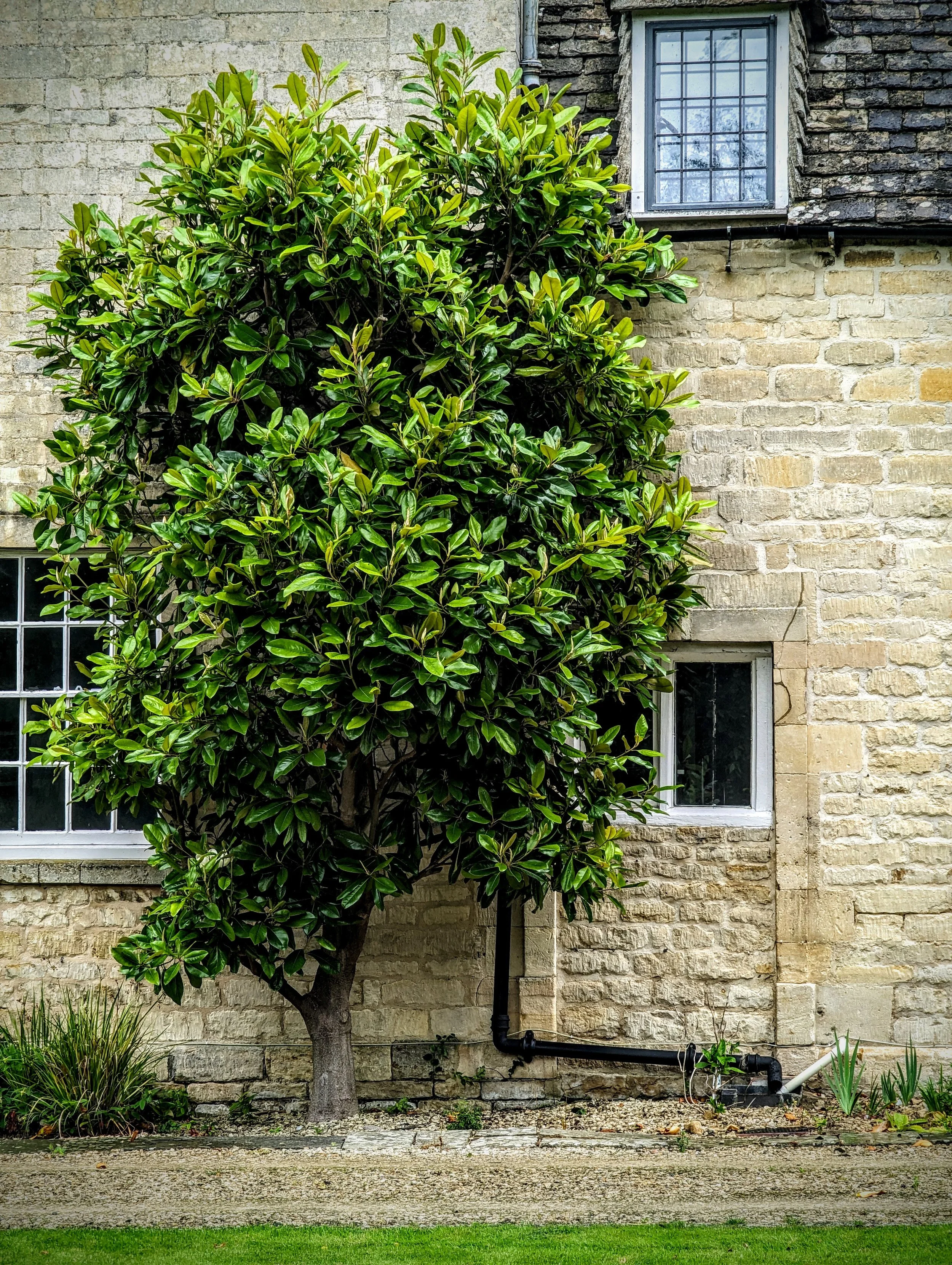 Peekaboo windoor in Gotherington, Gloucestershire