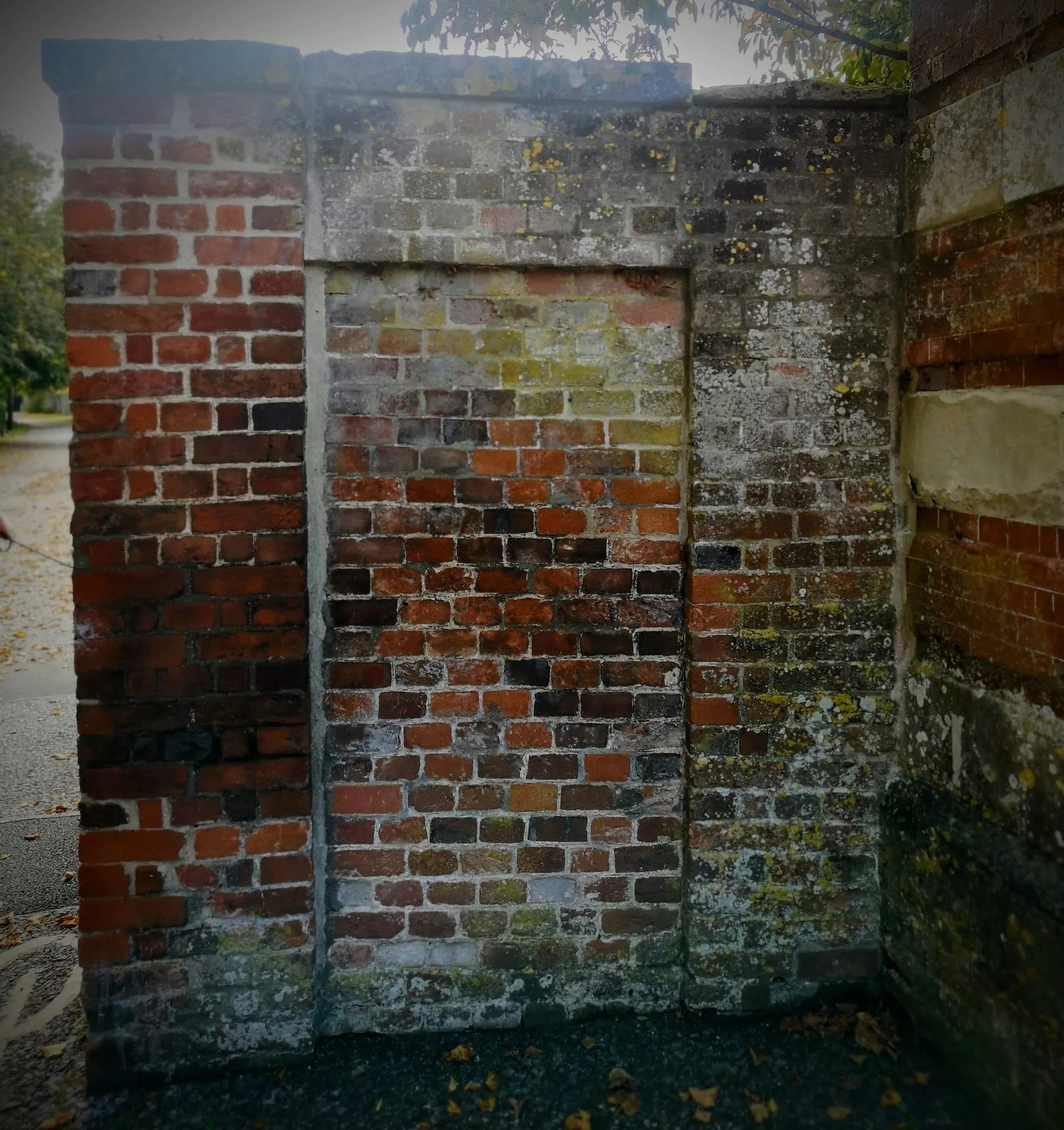 Close-up of an old brick wall with moss and lichen growth, showing a rectangular, boarded-up opening.