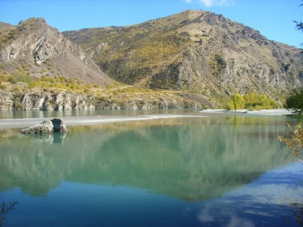 Otago Living