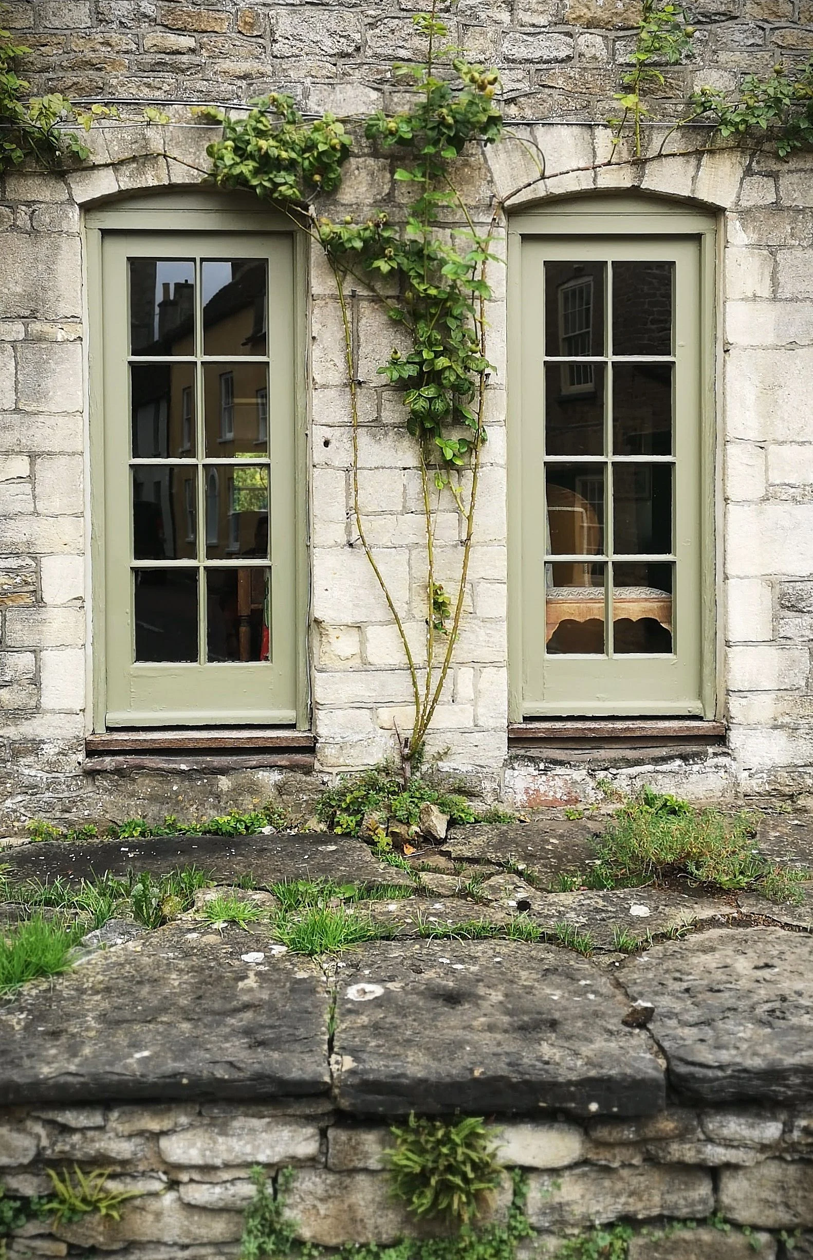 Close-up of two green window frames with glass panes on a stone wall, with a climbing plant growing between and above them, and small green plants growing in front on a stone surface.