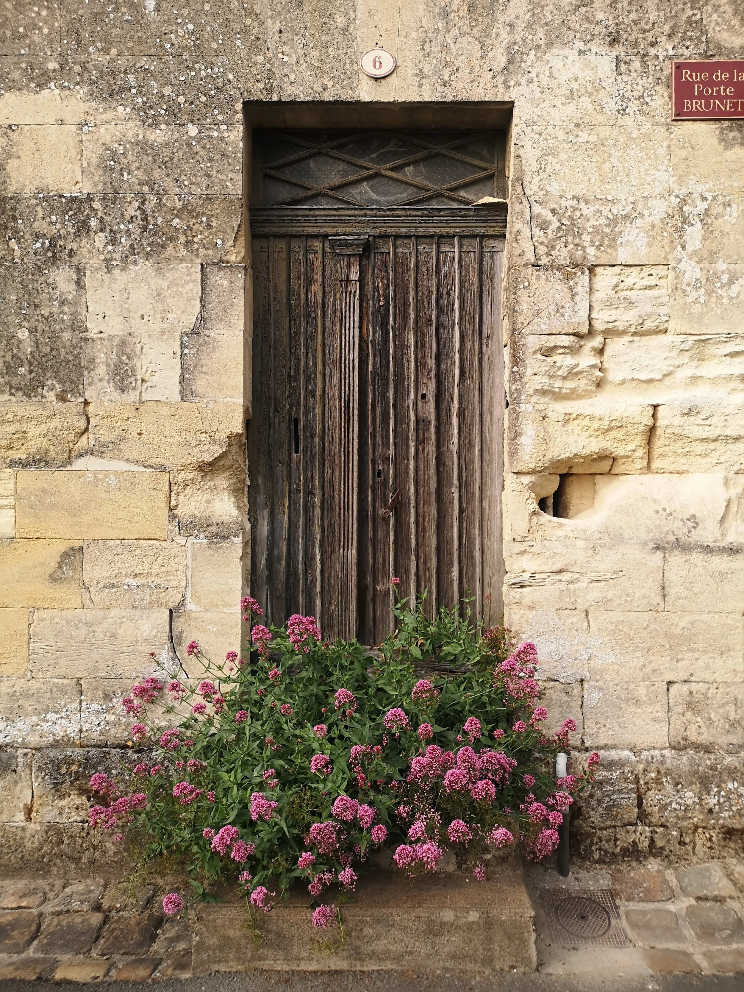 This wonderful door is on La Rue de Porte Brunet on Saint-Emilion, Aquitaine