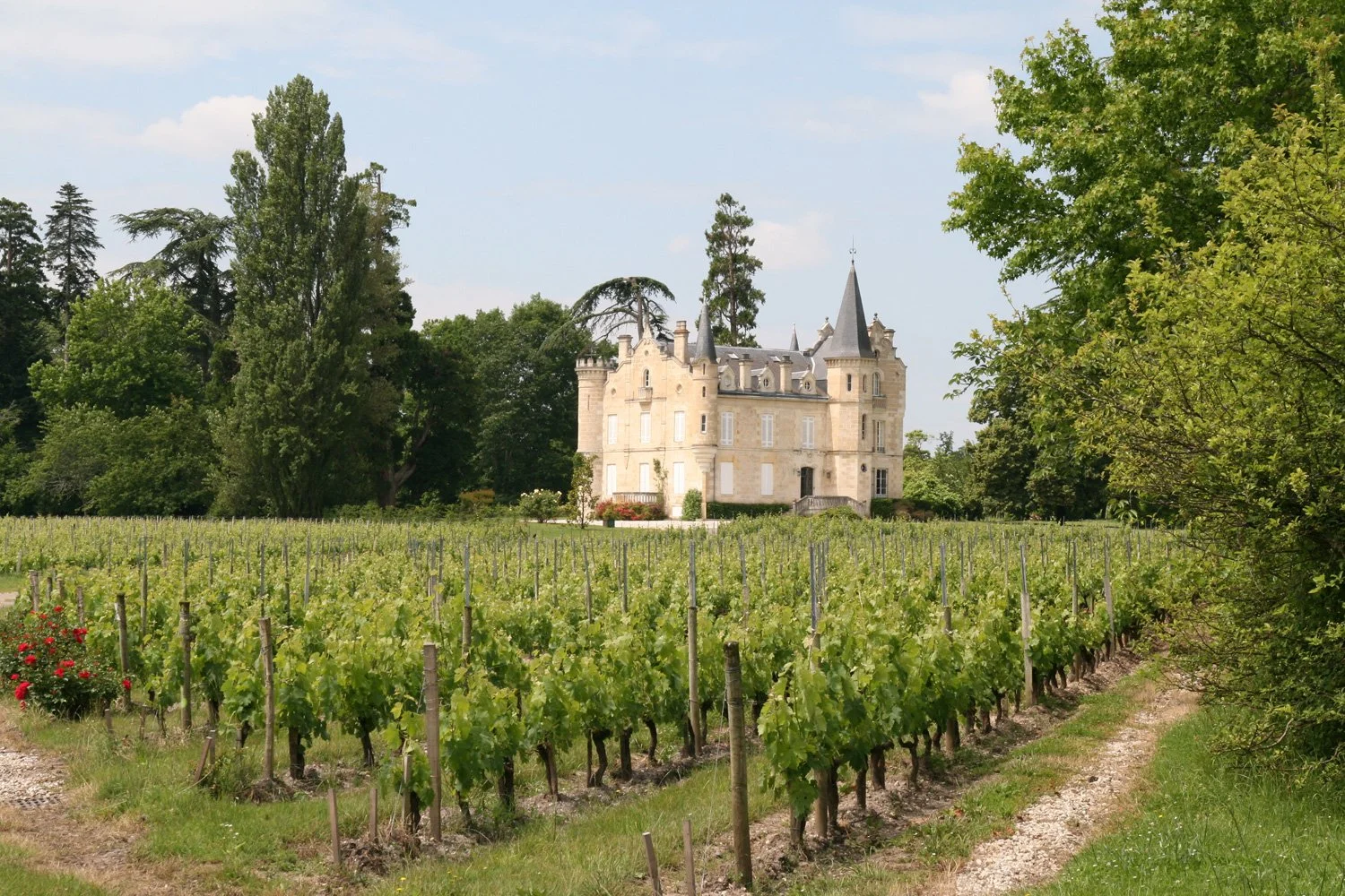 Chateau and vineyards in Pessac Leogan, Bordeaux