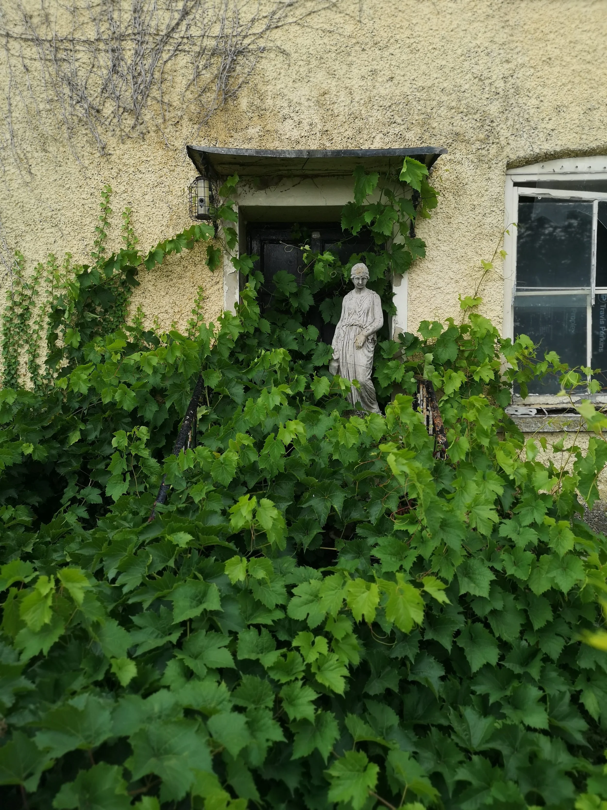 Not a garden door and those look like the leaves of a grape vine not ivy but this is a magical entrance-way in Malmesbury