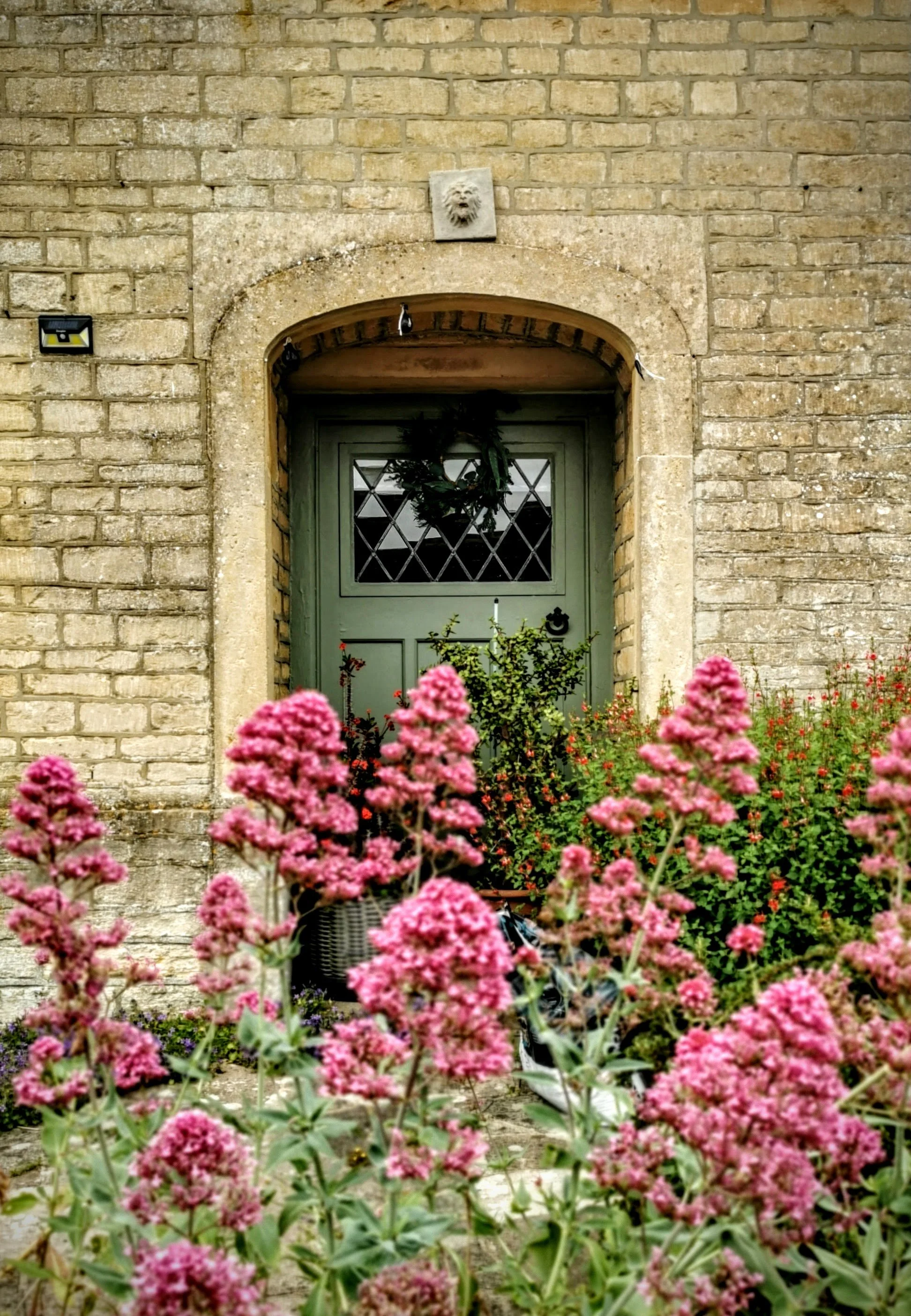IMG_20260531_140347.jpg