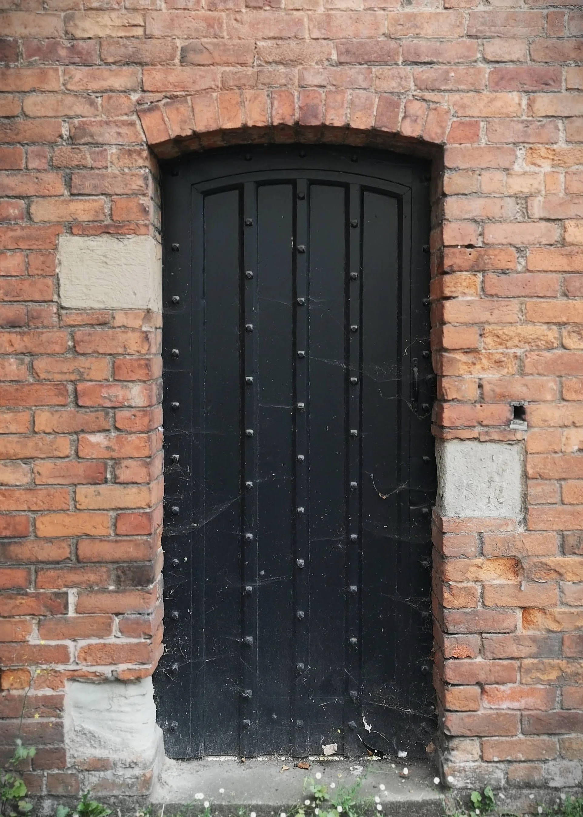 A black metal door set in a red brick wall, with cobwebs and some small plants at the base.