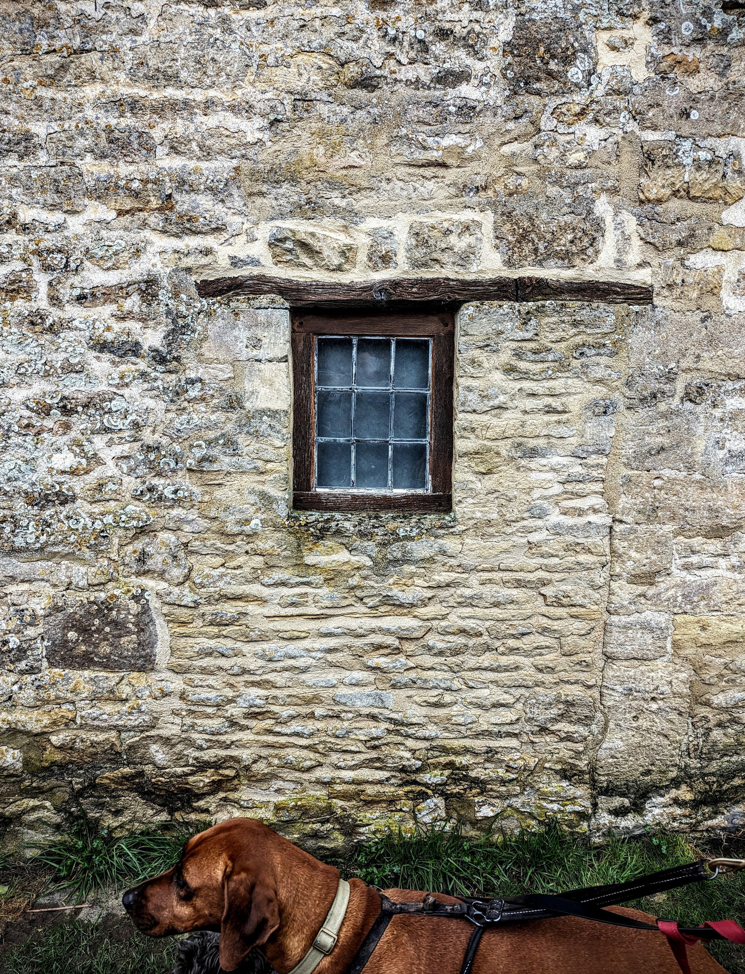 Bricked up entrance with door and dog in Bibury 
