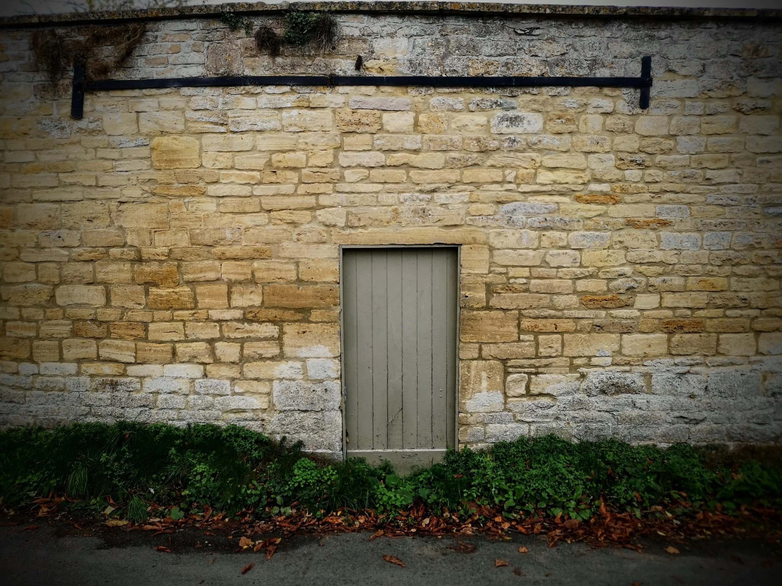 A stone wall with a small metal door in the center, surrounded by greenery and fallen leaves at the base.