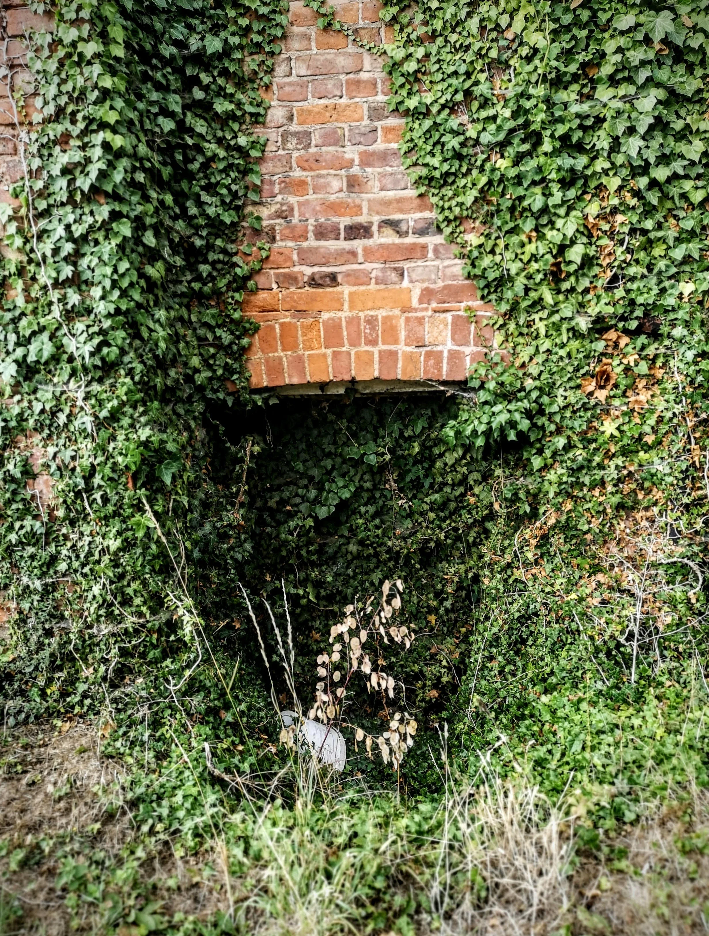 The old entrance to a cellar in a farmhouse in the Cotswolds