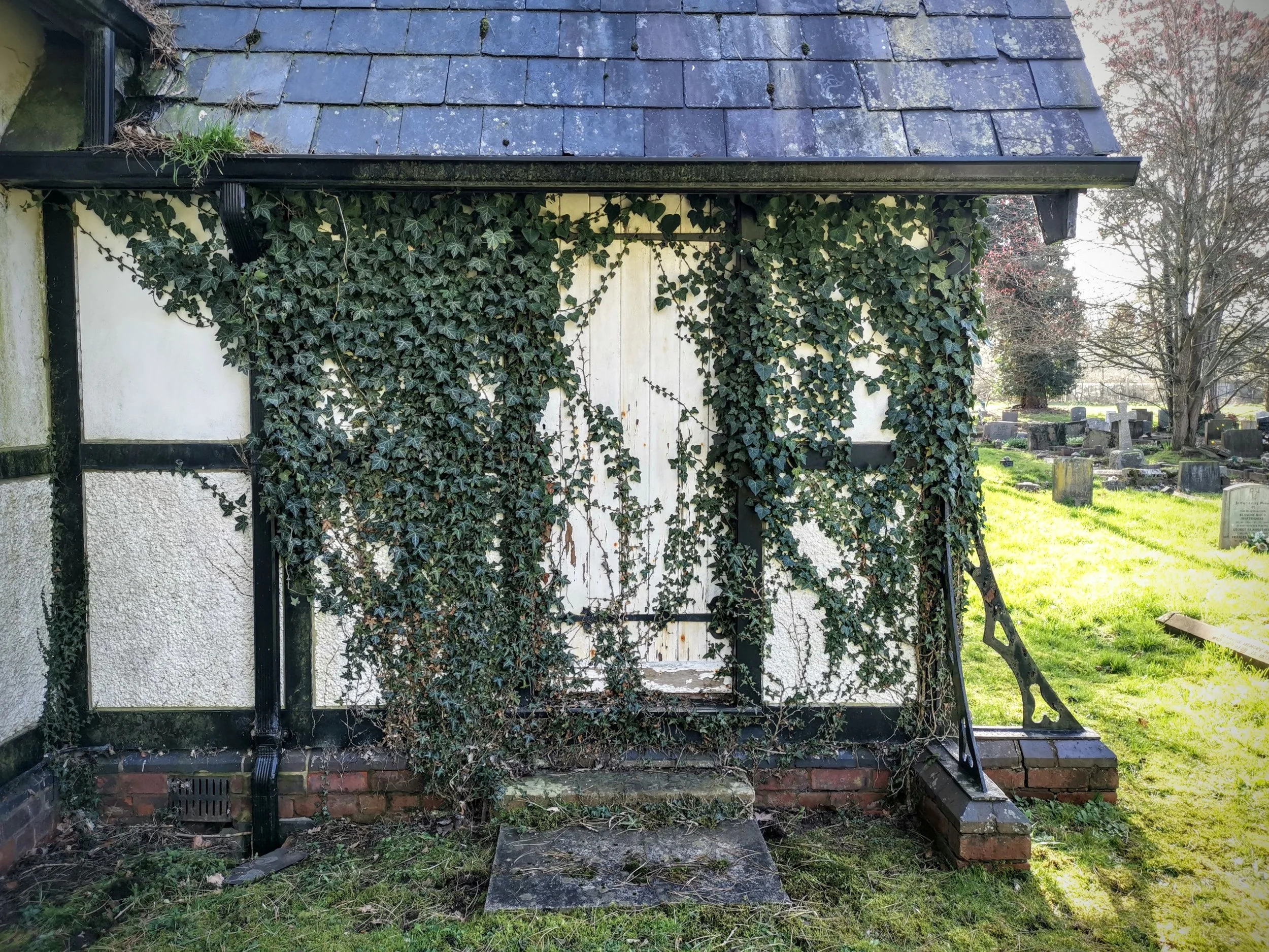 Lovely overgrown door at the back of St Mary's Church in Shropshire