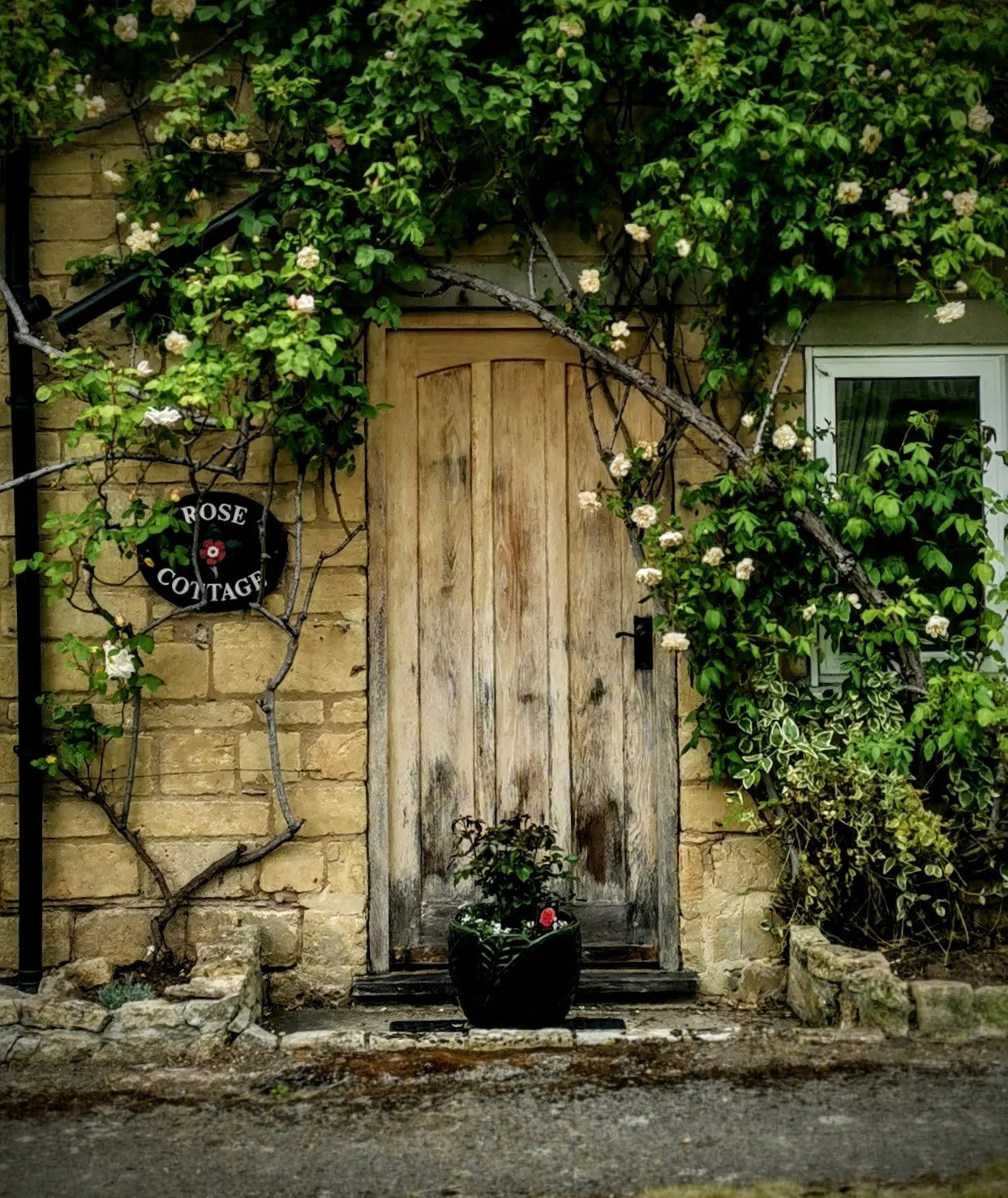 A definitive flower-pot door in Buckland in the Cotswolds