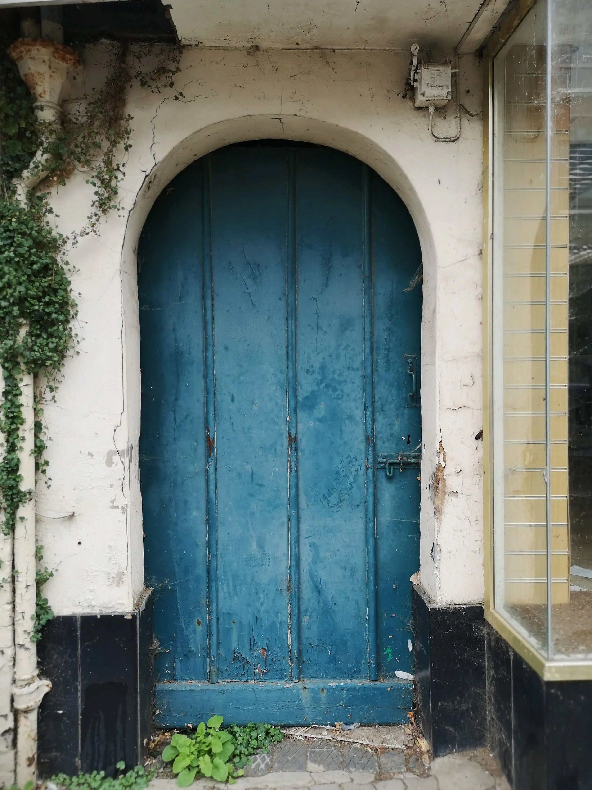 A blue, weathered wooden door set in a white plaster wall with cracks, surrounded by greenery on the left and a glass display window on the right.