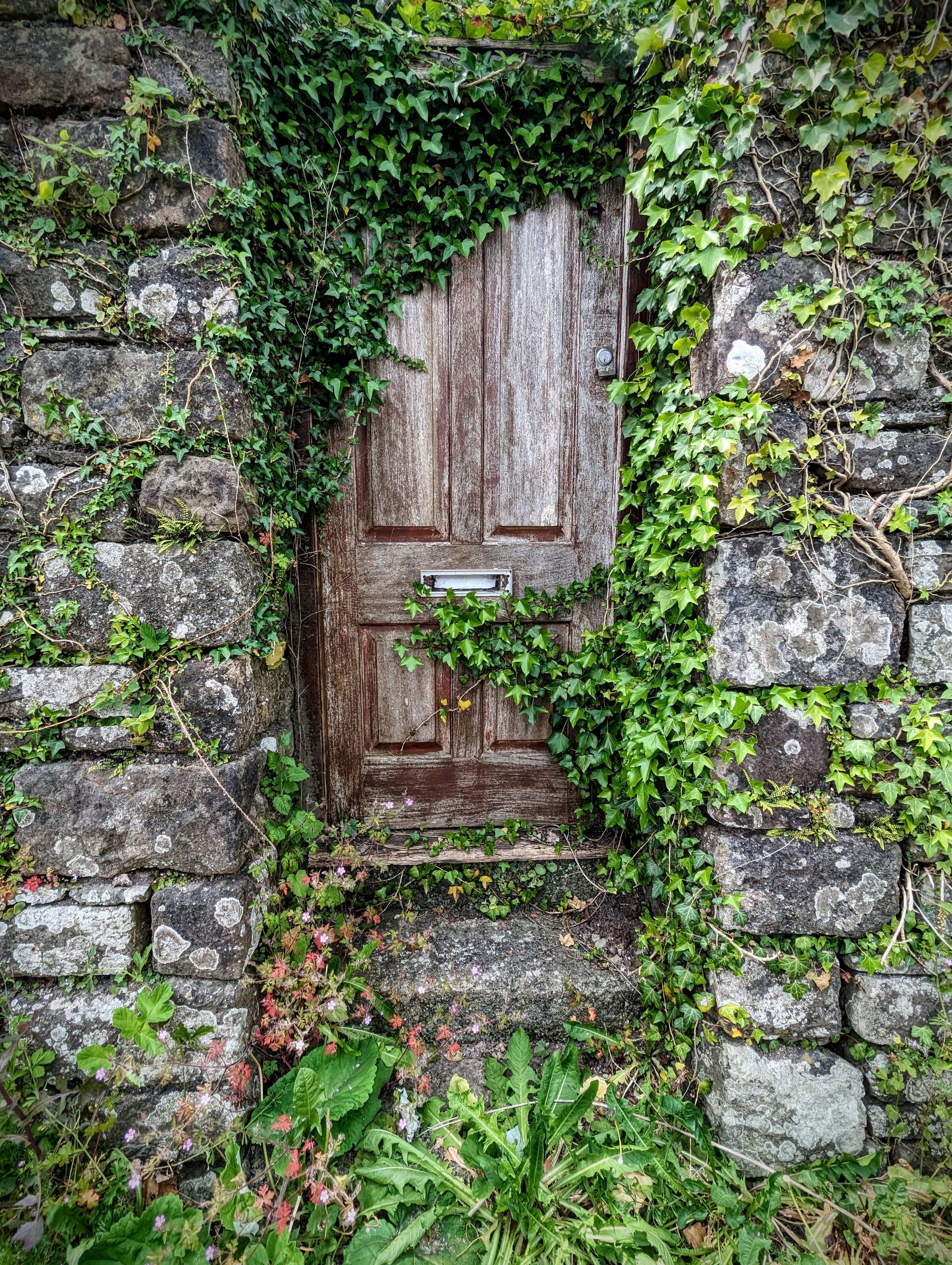 A door in Tintern being consumed