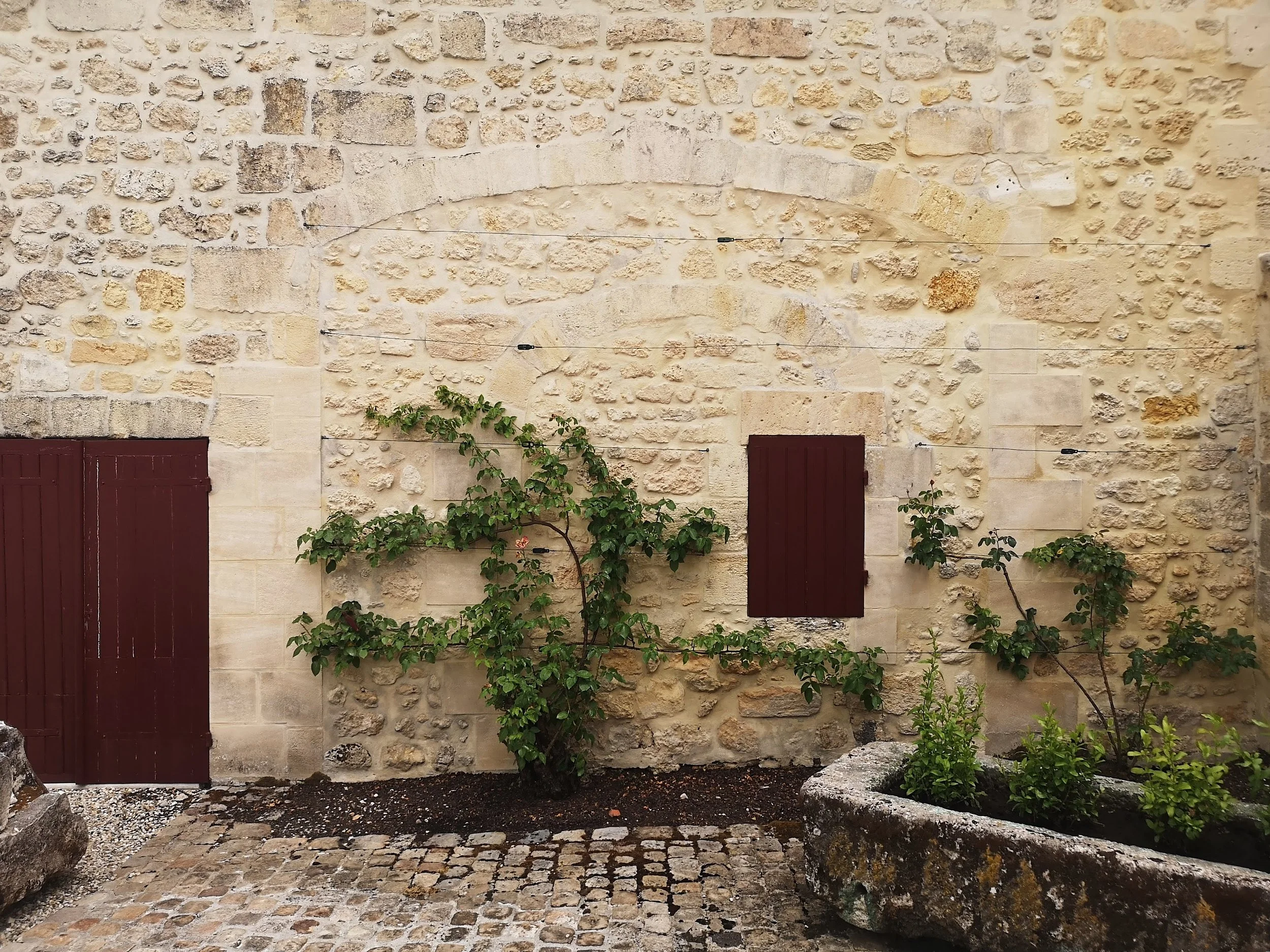 A rustic stone wall with small, closed wooden shutters and green plants growing in front and in a stone planter.