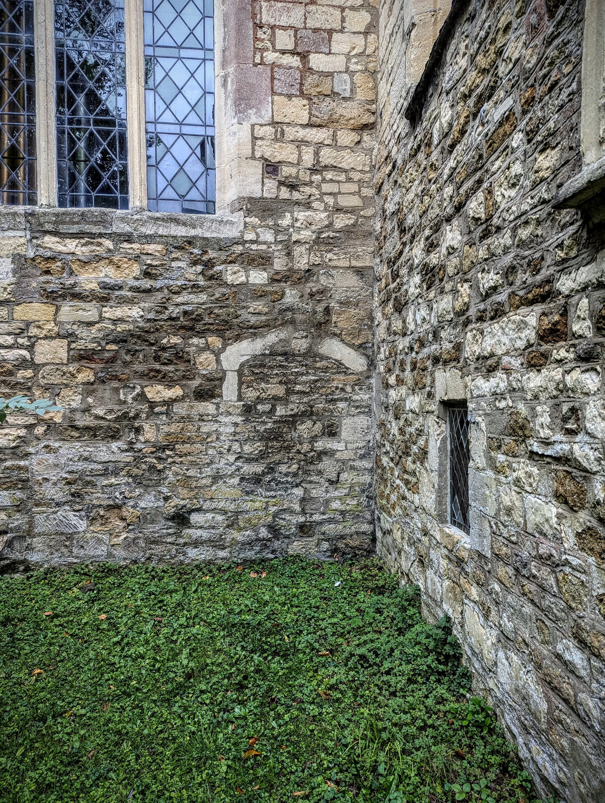 PXL_20241006_114613012.MP.jpg