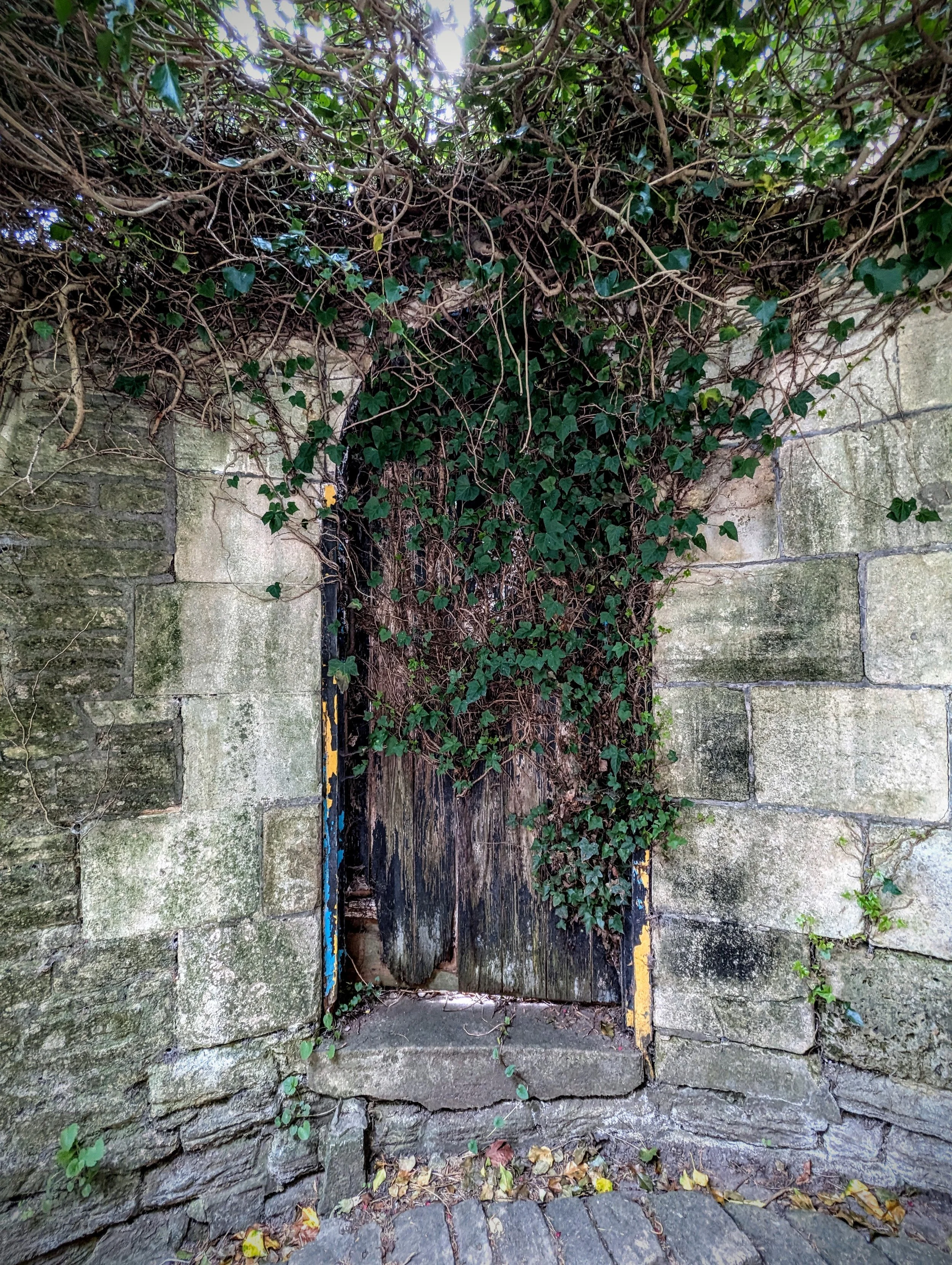 This delightful door was found down a tight alley in Bradford-on-Avon