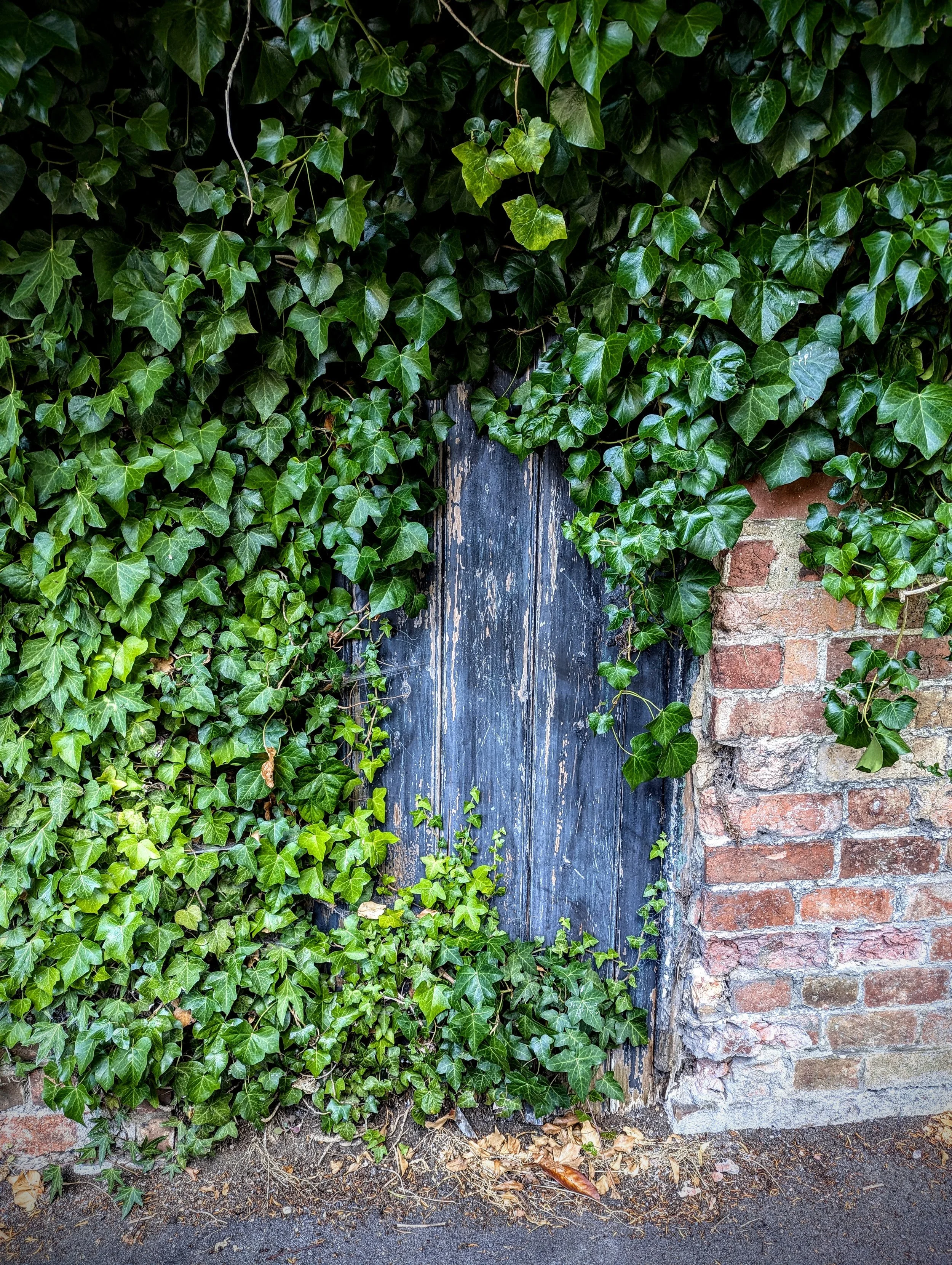 This door is almost fully consumed. Cheltenham