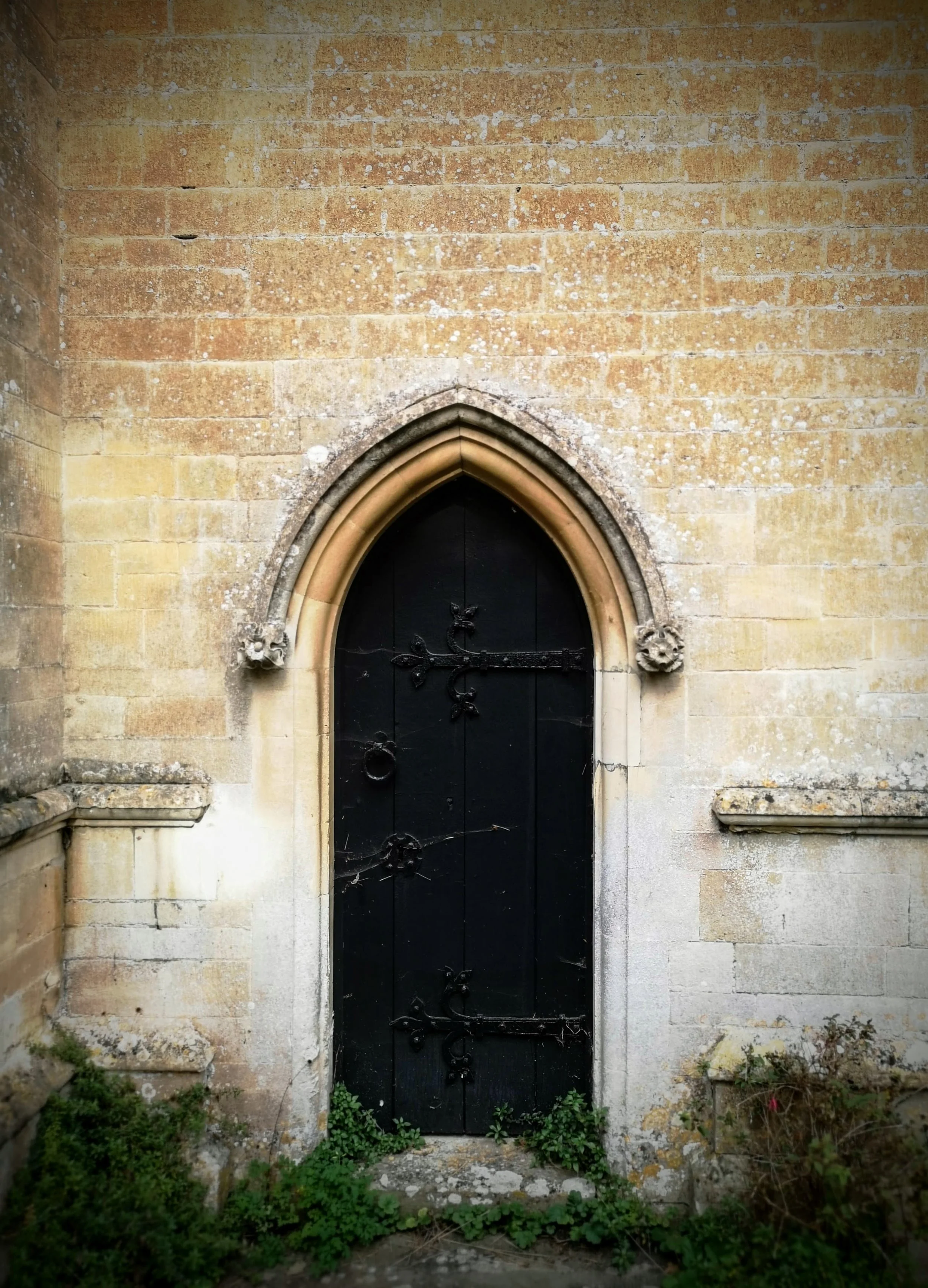 A small, black wooden door with ornate iron hinges and a ring handle, set in an arched stone doorway on a weathered brick wall. Green plants grow at the bottom of the door.