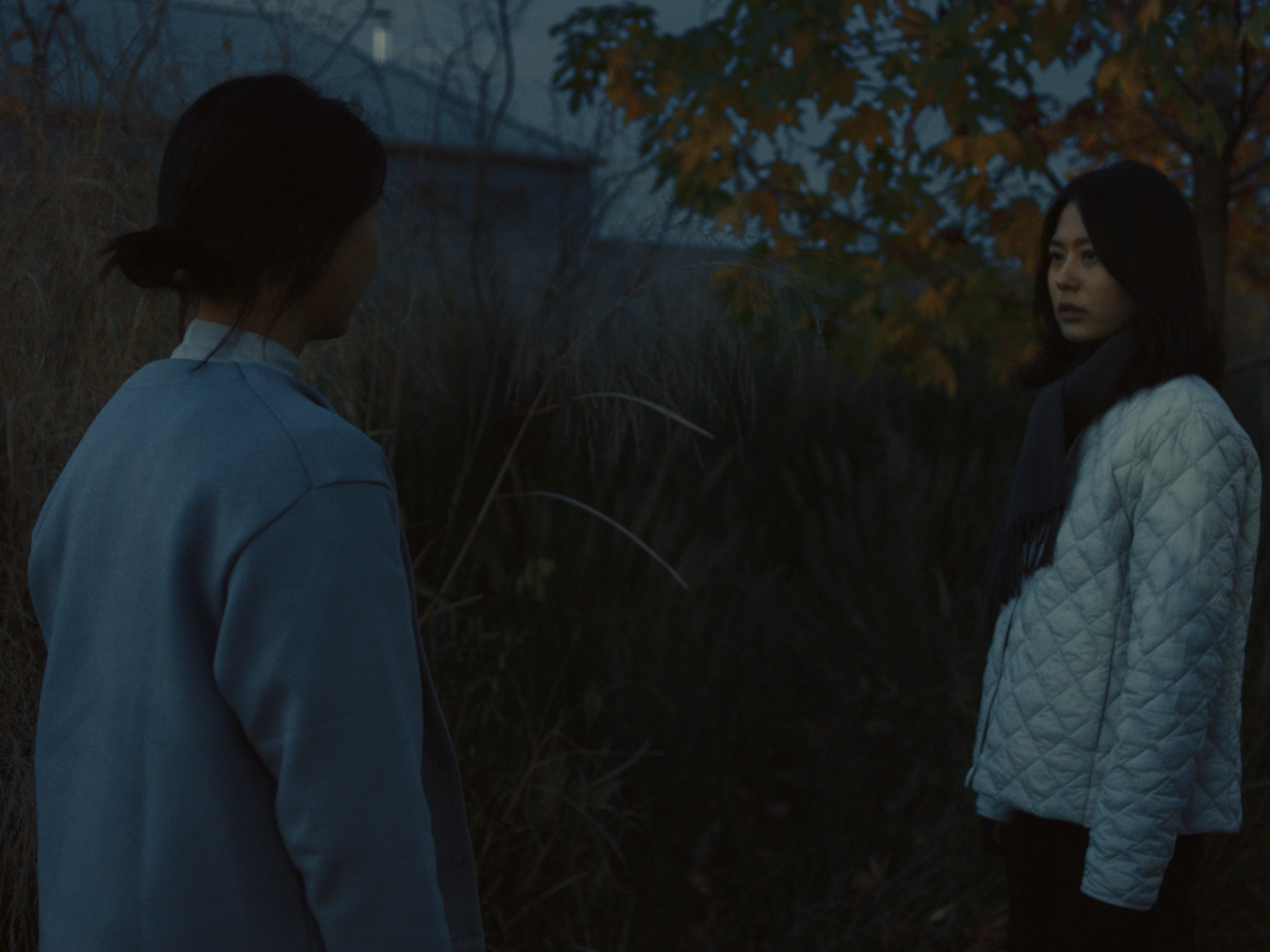 Rambling Accents_04.png