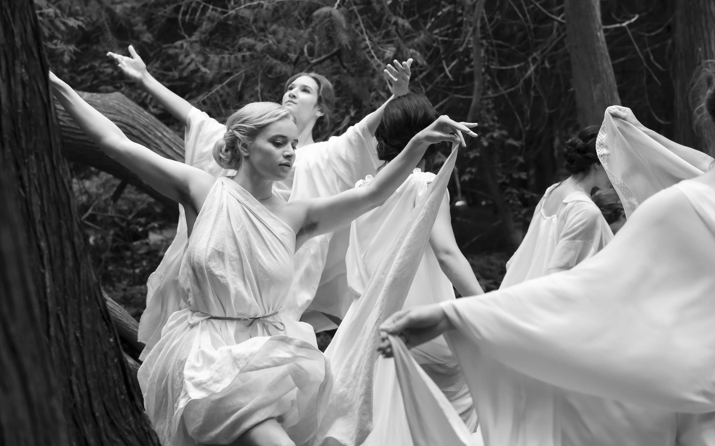 SILENT FRIEND still (4).jpg