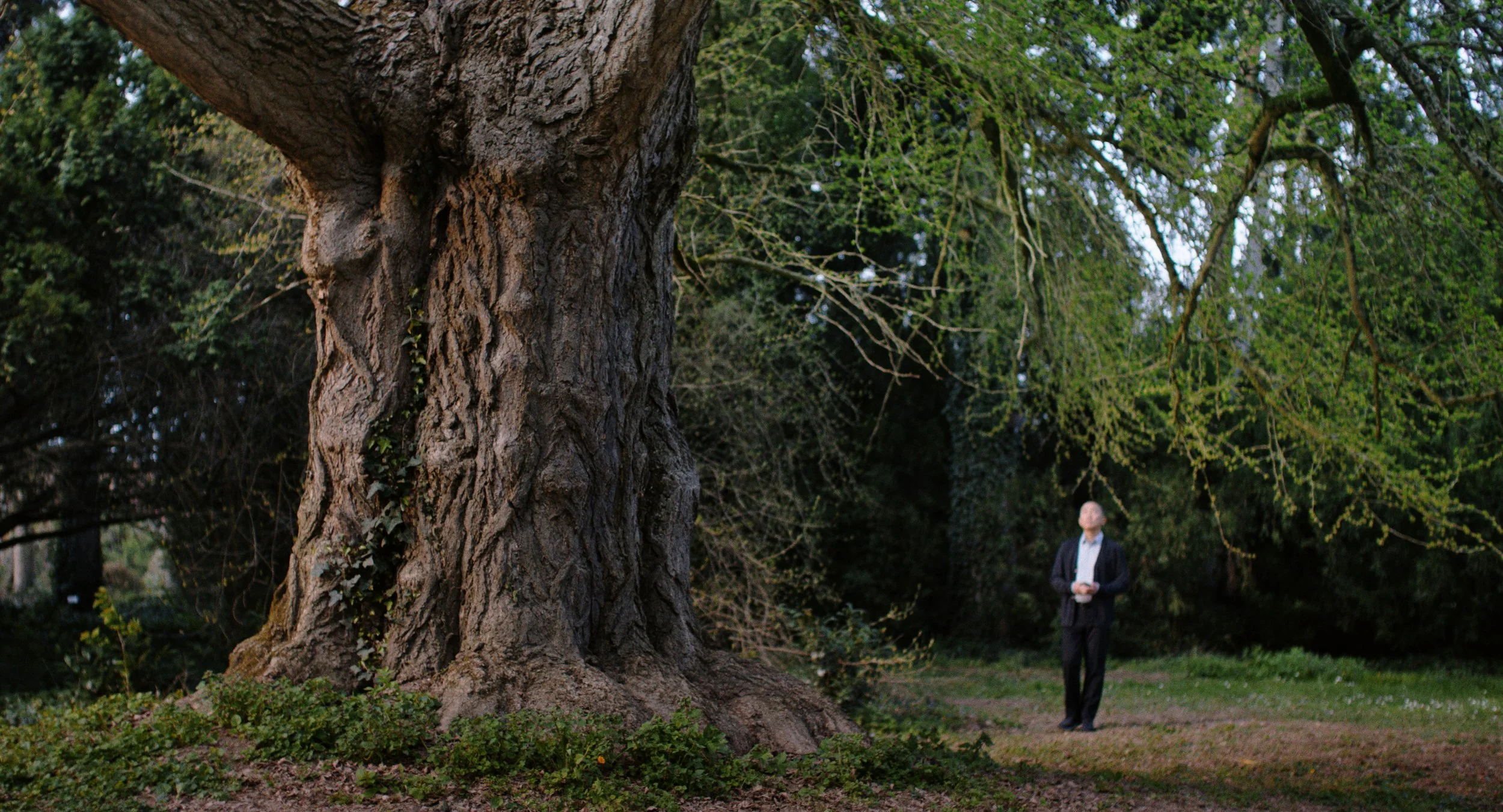 Silent Friend-Main still.jpg