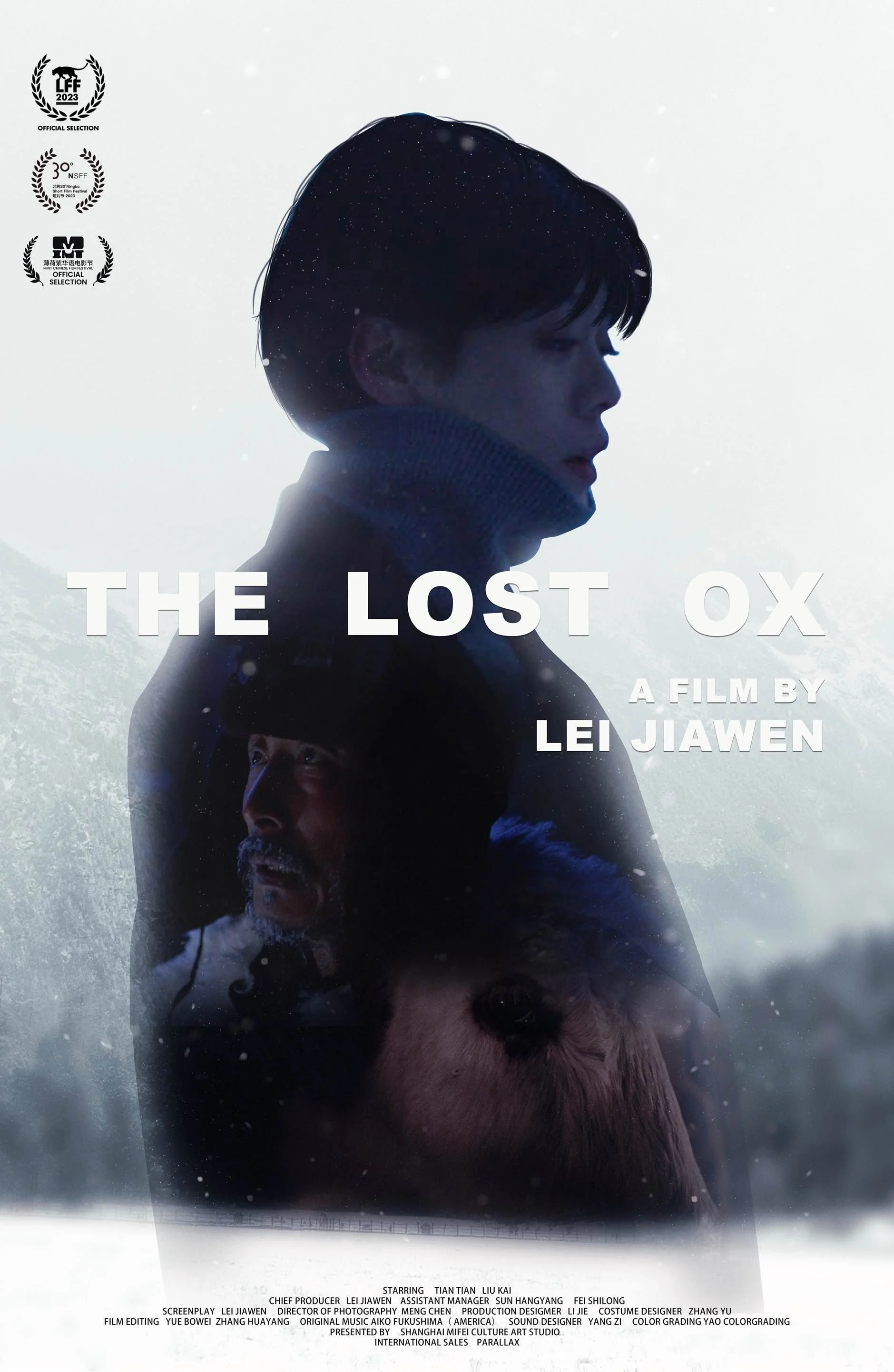 Lost of Ox_poster.jpg