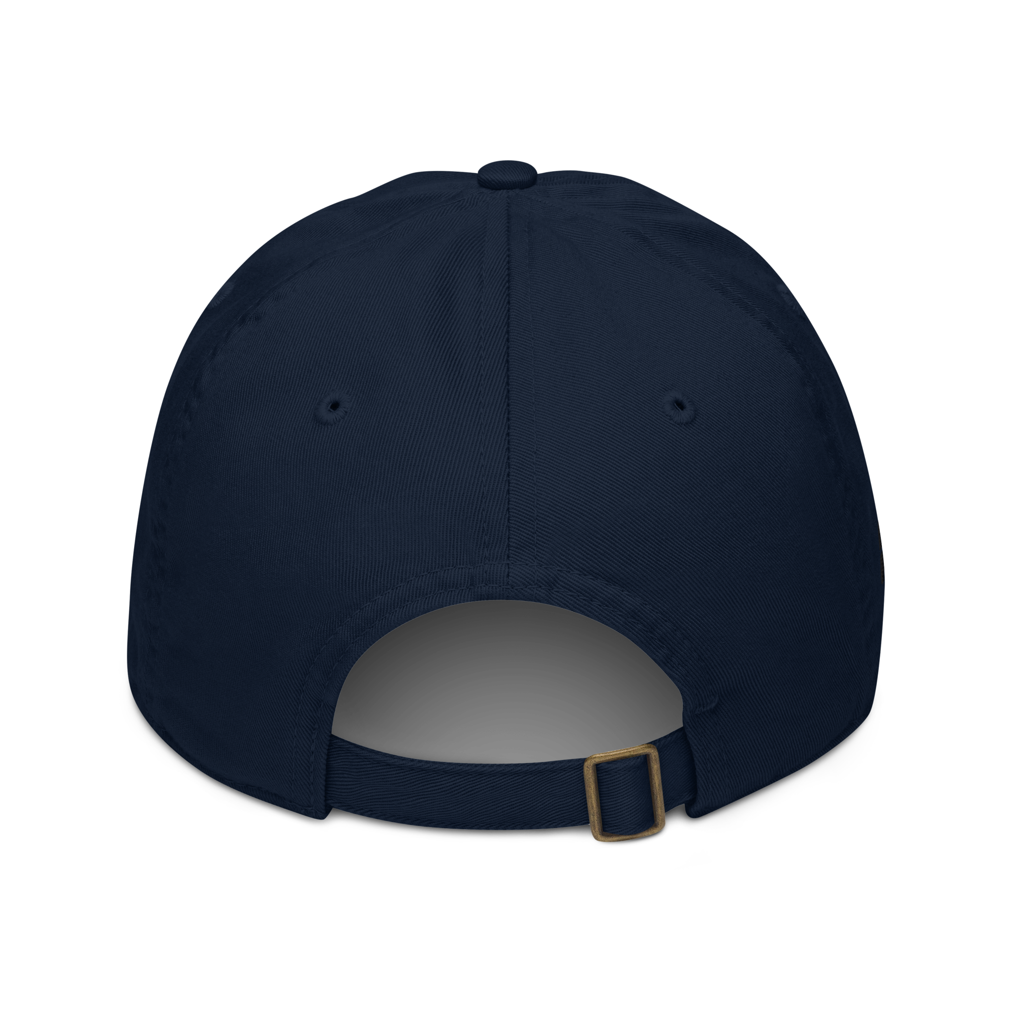 organic-baseball-cap-pacific-back-640f8a53bc045.png