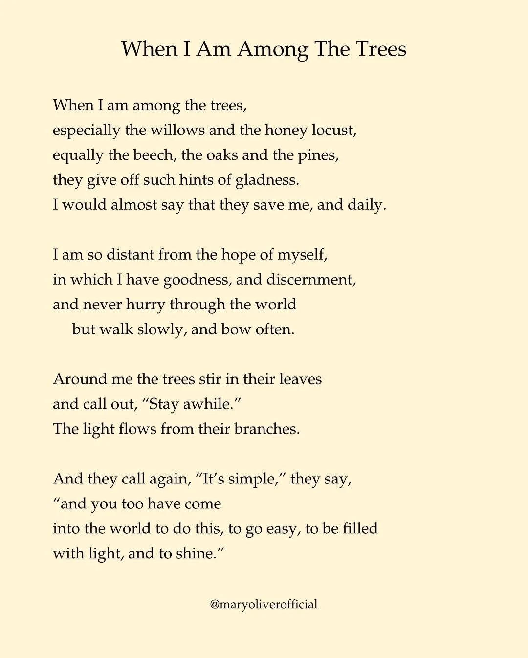 &ldquo;And you too have come into the world to do this, to go easy, to be filled with light, and to shine.&rdquo;
&mdash; Mary Oliver, When I Am Among the Trees

Into the Light &middot; June 4&ndash;7 
Wheel of Bliss &middot; Hot Springs, NC 

Join u