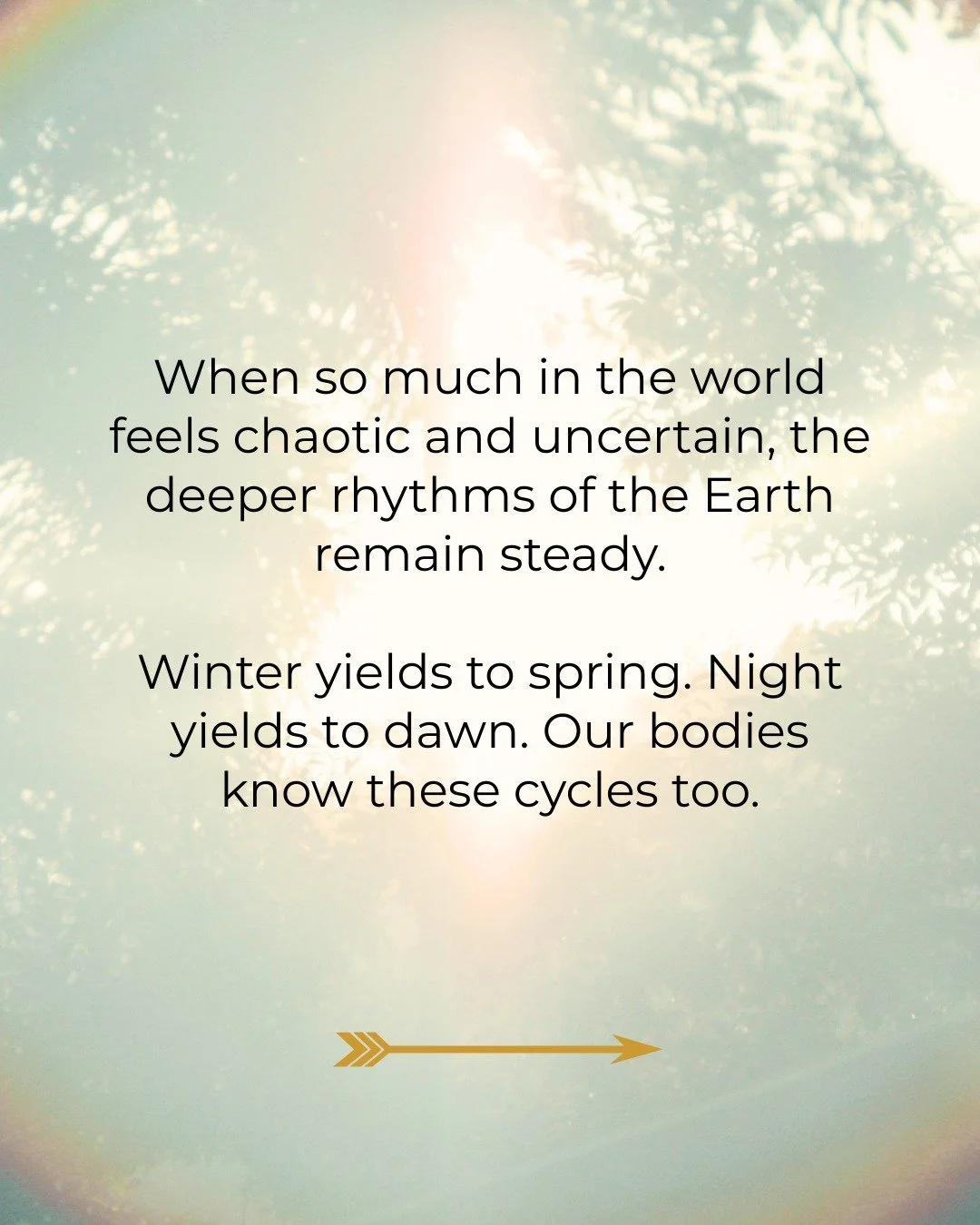 When so much in the world feels chaotic and uncertain, the deeper rhythms of the earth remain steady.

Systems built on domination and extraction depend on us forgetting this&mdash;they thrive on urgency and disconnection from these natural rhythms. 