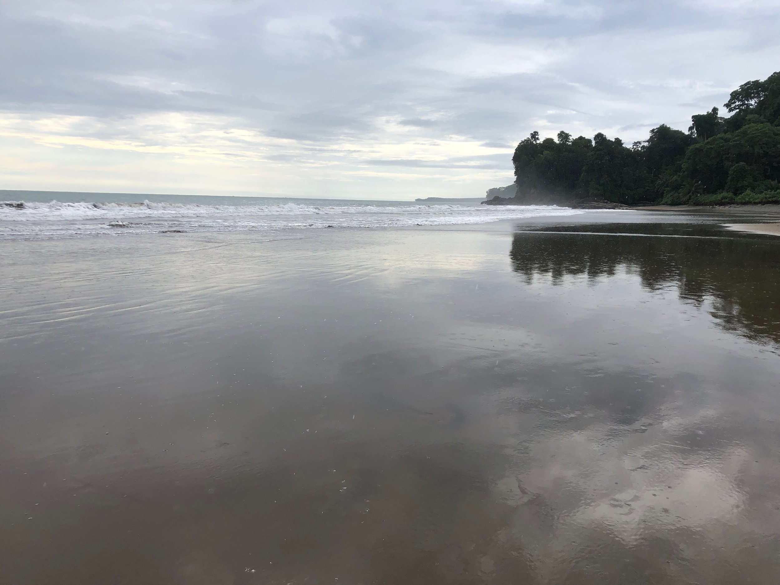 IMG_9039.jpeg
