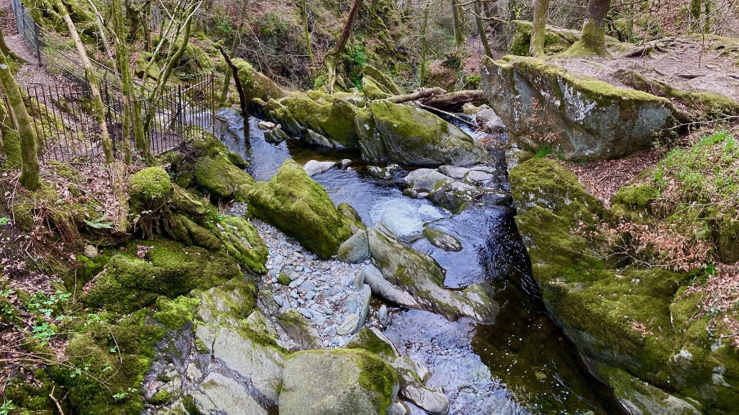 What is creative flow, and how can you find it? — Ellie Chaney | Artist ...
