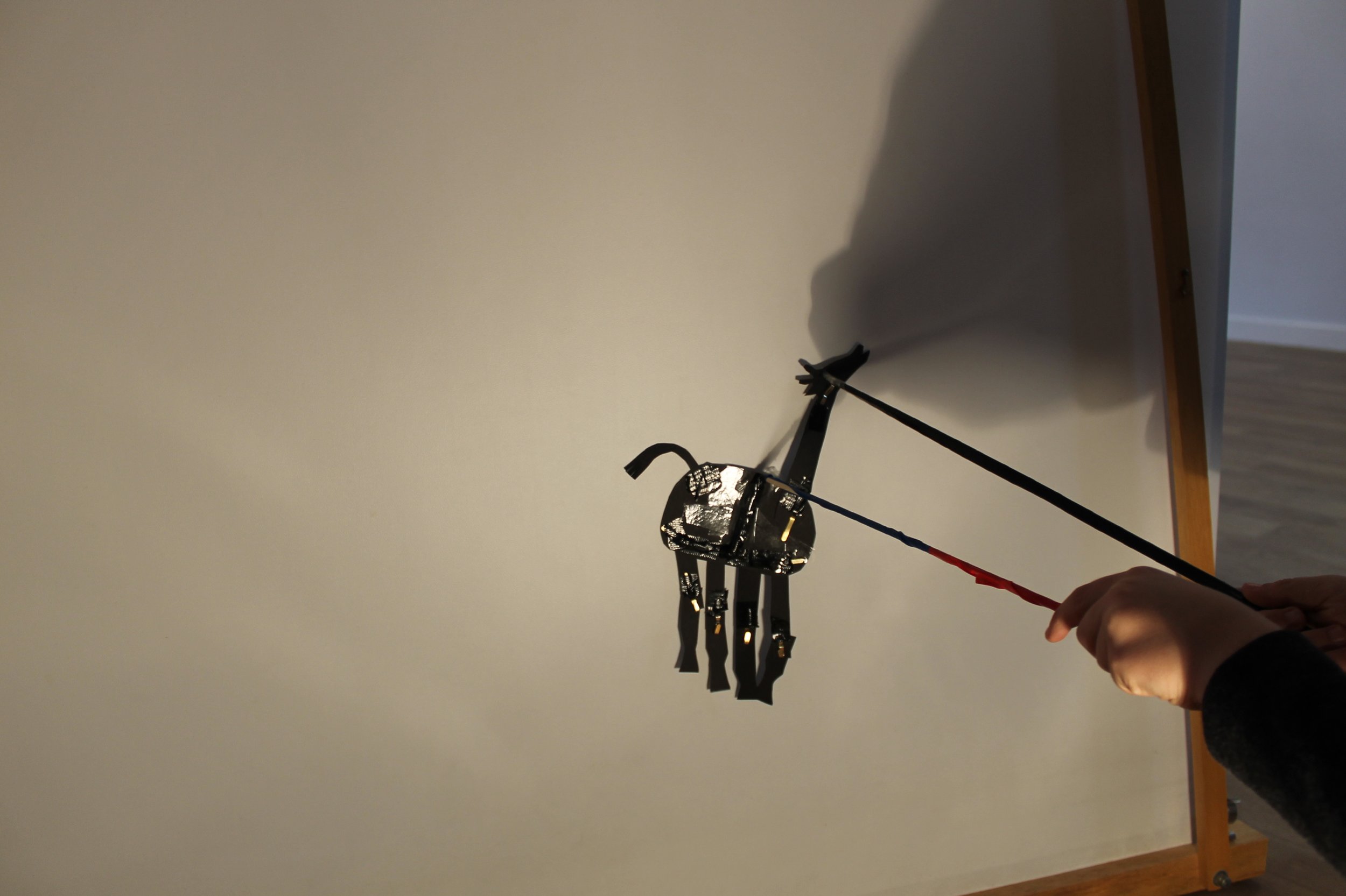 shadow_05.JPG