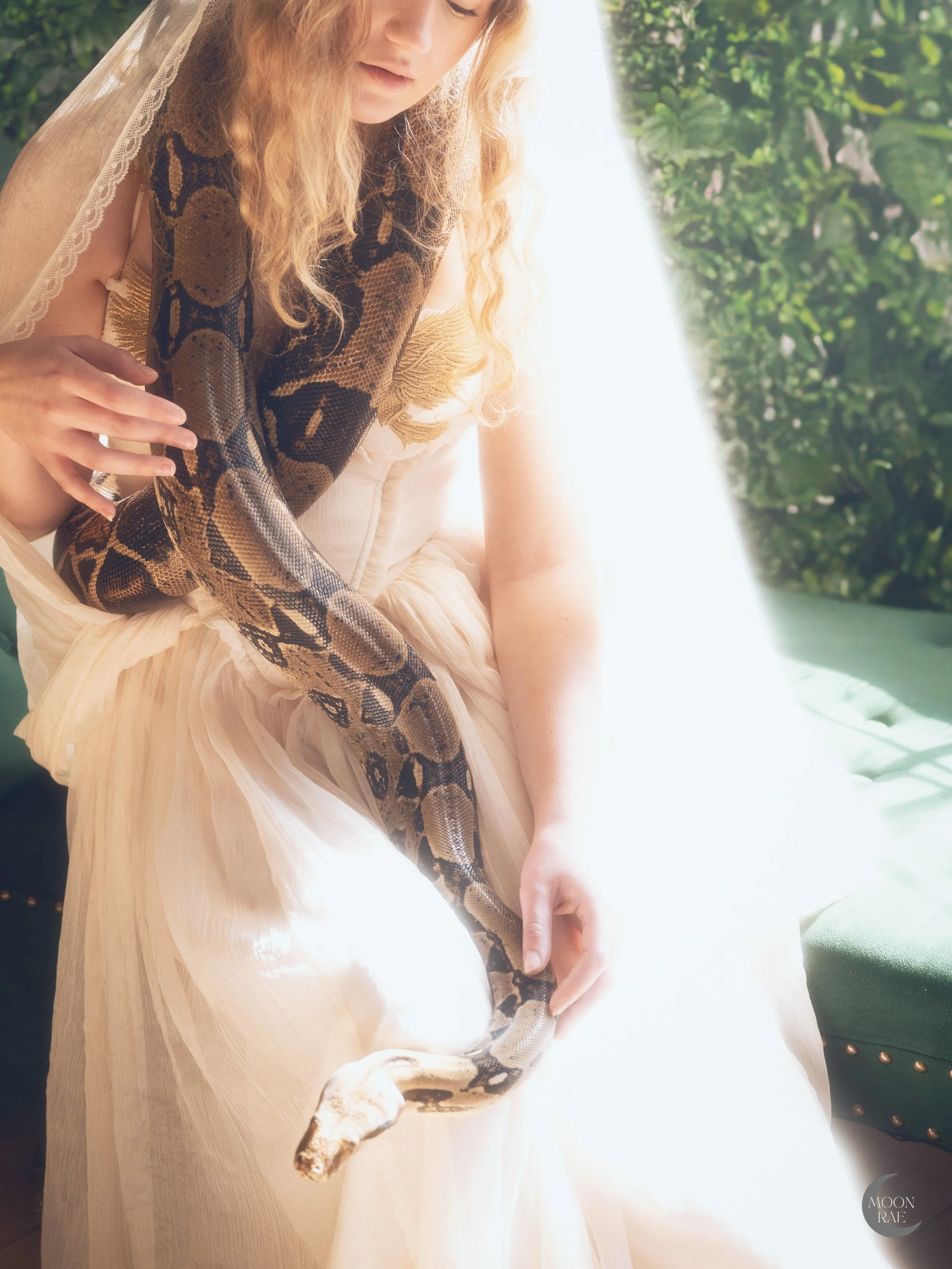 2025-everlore-snake.jpg