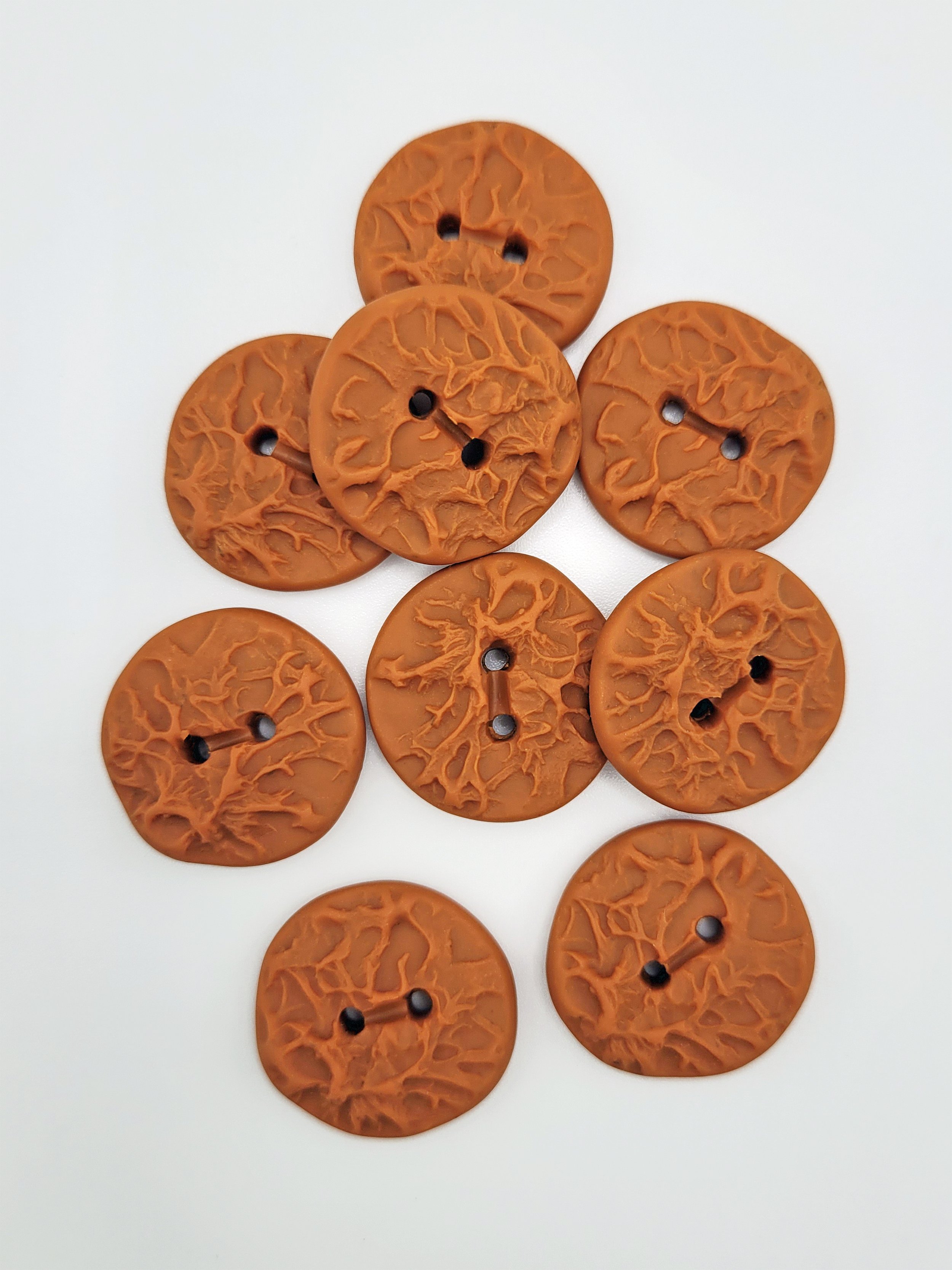 Marmalade lichen buttons.jpg