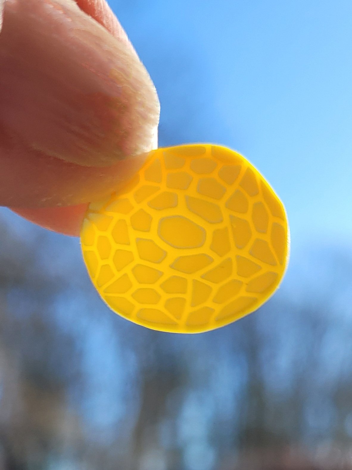 A thin cane slice held up to the sun to show its delicate detail.