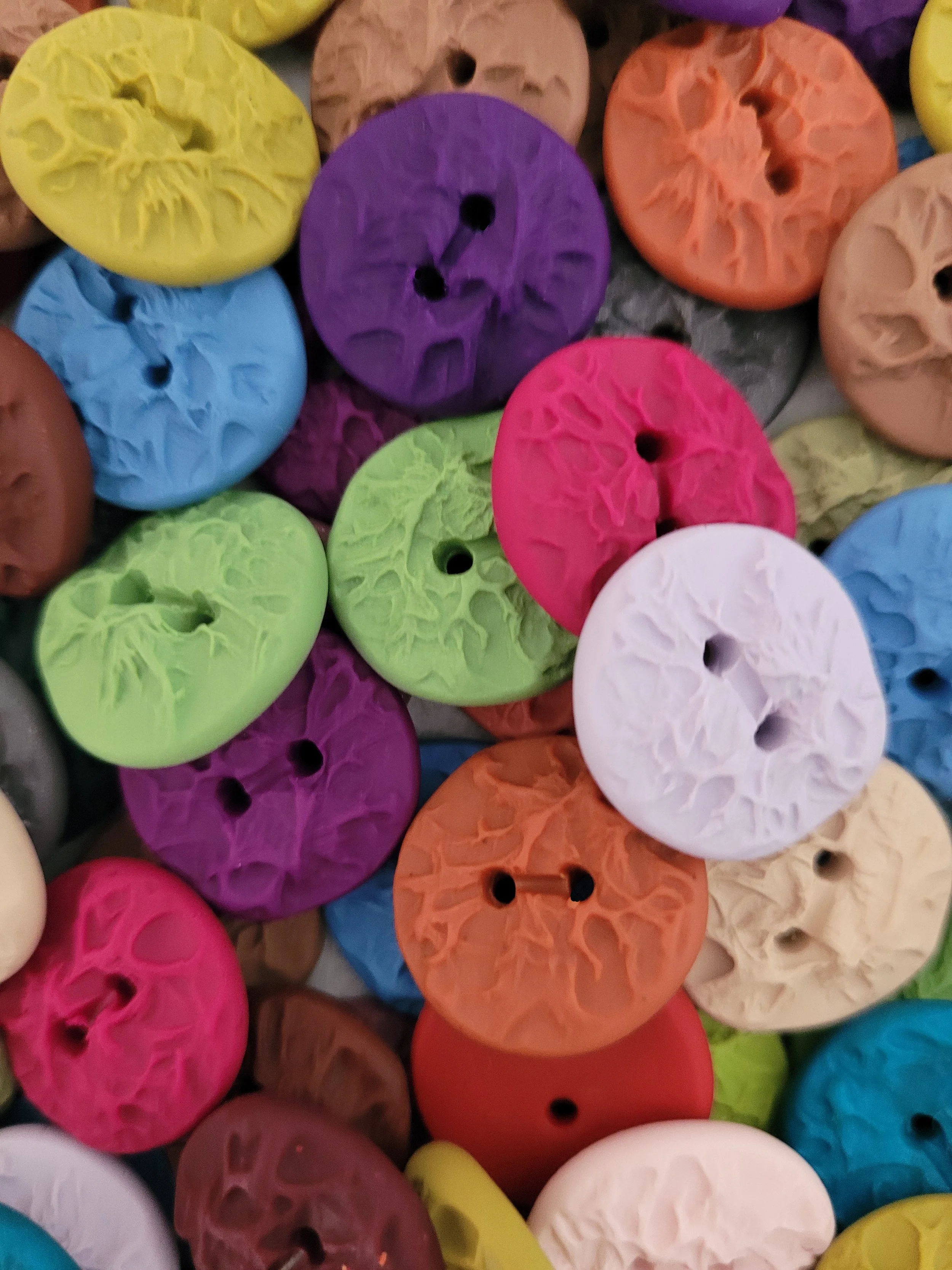 Lichen buttons in multi colours.jpg