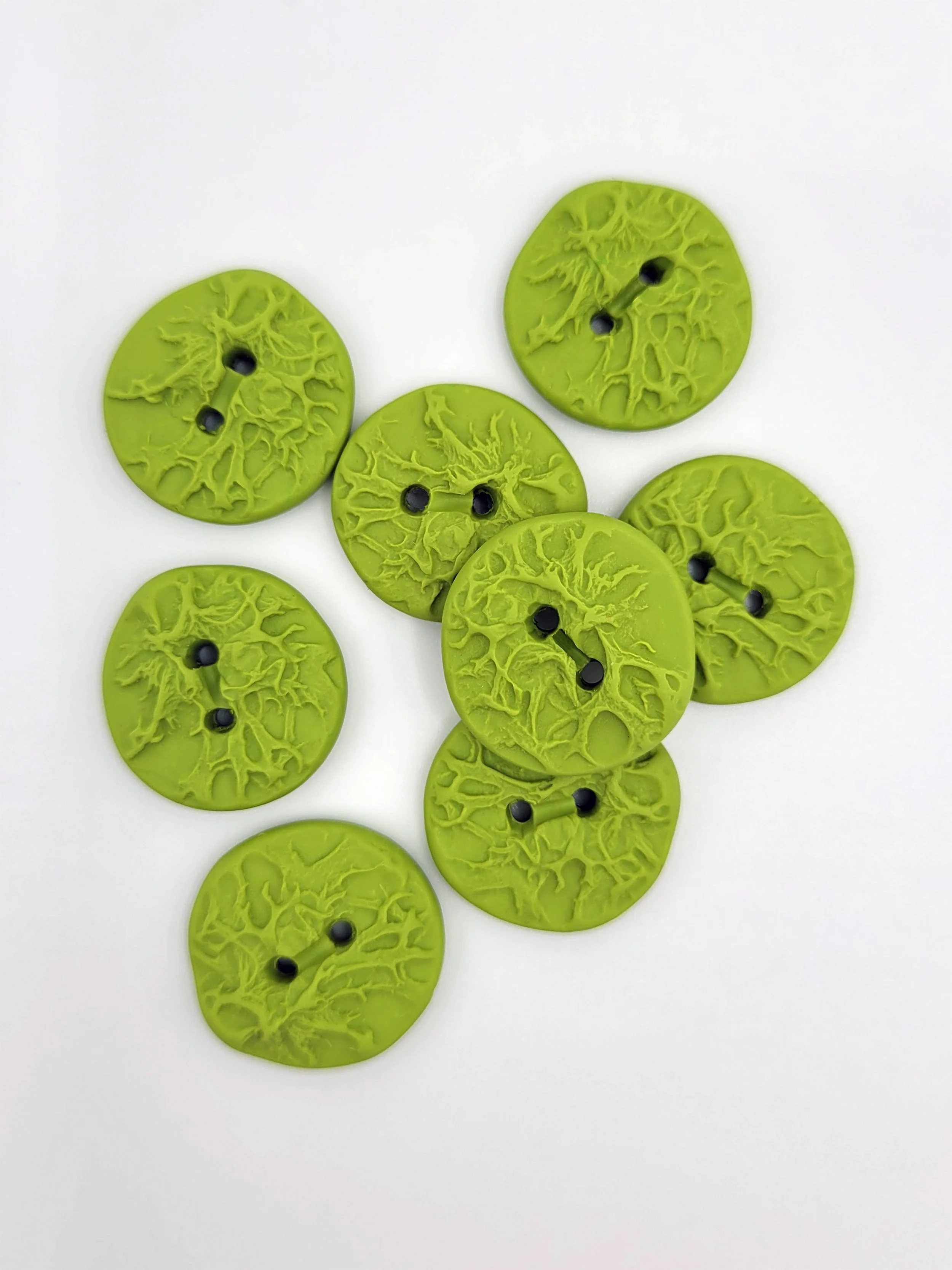 Avocado lichen buttons.jpg