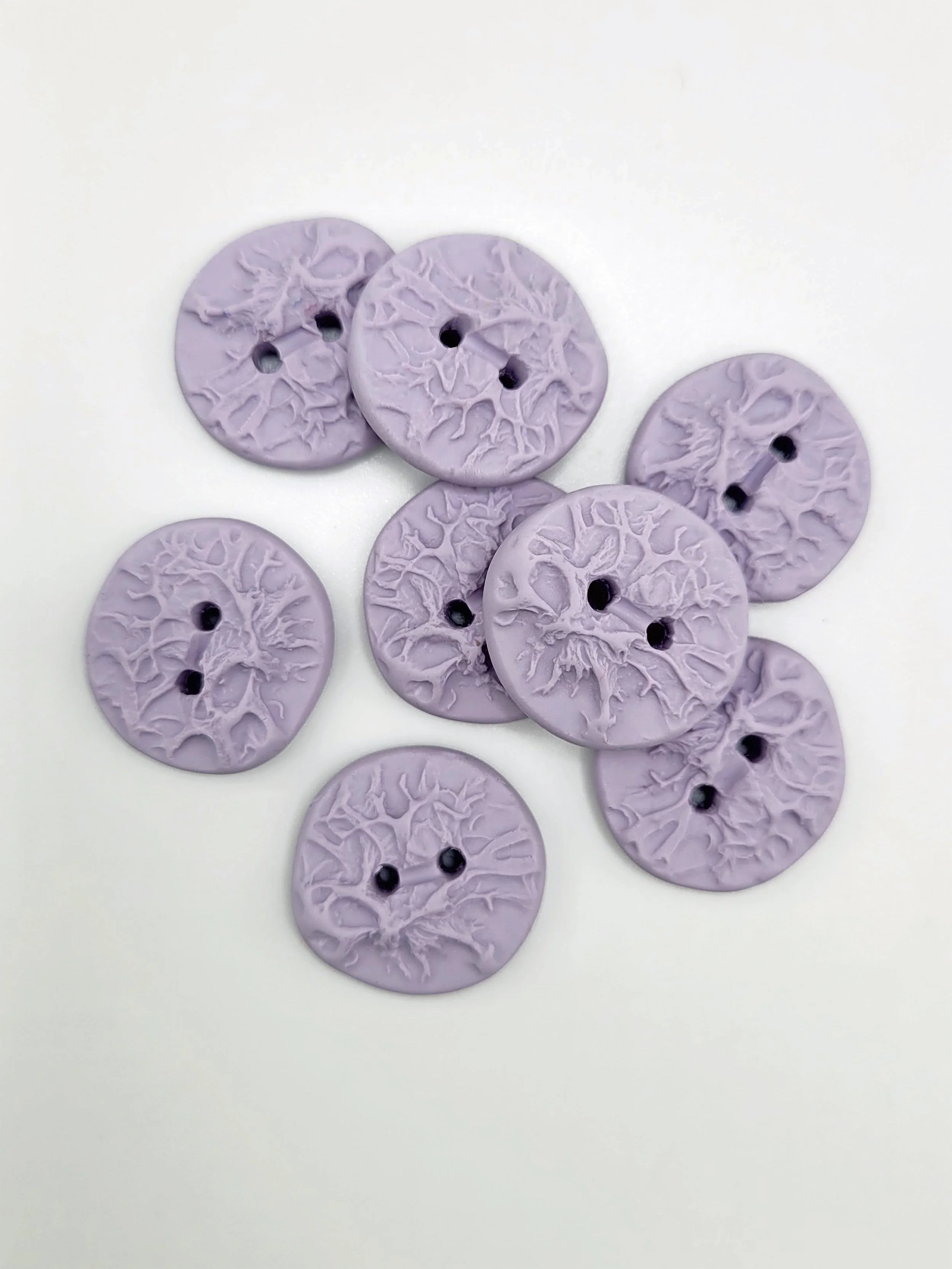 Wisteria lichen buttons.jpg