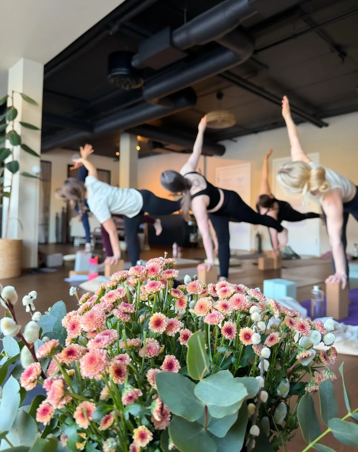 Modul 3 av v&aring;r Yogal&aelig;rerutdanning 🫶🏻
Denne helgen har vi sett n&aelig;rmere p&aring; historie, yogafilosofi og ulike meditasjonsteknikker. I tillegg til daglig asana, pranayama og meditasjonspraksis. Hvor kommer Yoga fra og hva betyr de