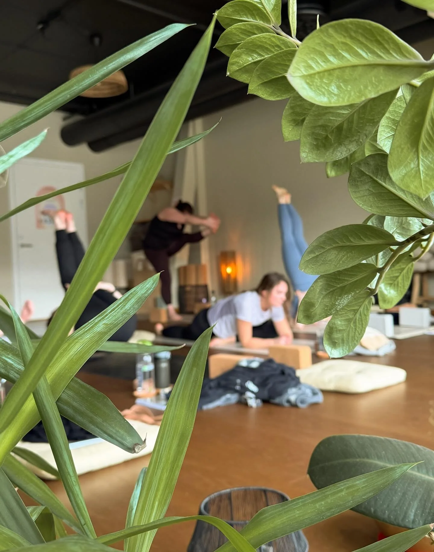 Modul 5 av v&aring;r yogal&aelig;rerutdanning er gjennomf&oslash;rt og tiden g&aring;r s&aring; fort! Denne helgen har vi hatt fokus p&aring; energi, chakra og mye av det som kan v&aelig;re vanskelig &aring; sette ord p&aring; og som gjerne m&aring; 