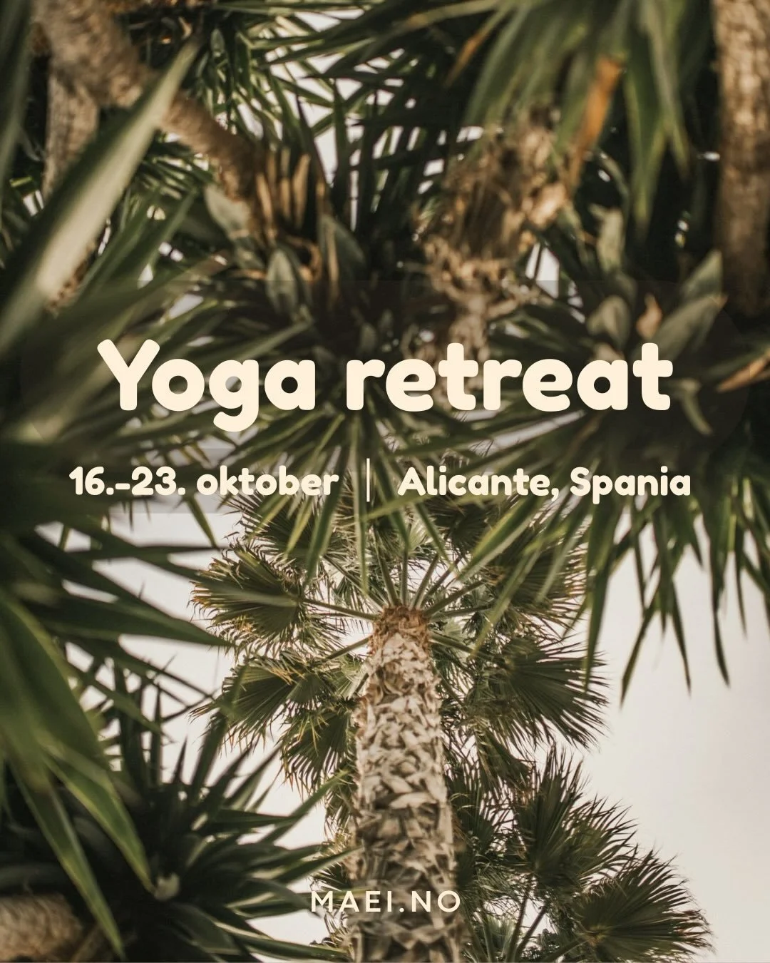 Yoga- &amp; velv&aelig;reretreat til Alicante, Spania i oktober 🌞 

En uke med p&aring;fyll for kropp og sinn, daglig yoga-og meditasjon, n&aelig;ringsrik mat, ro, velv&aelig;re, egentid og fellesskap.  Jeg gleder meg til denne uken sammen, vi har n