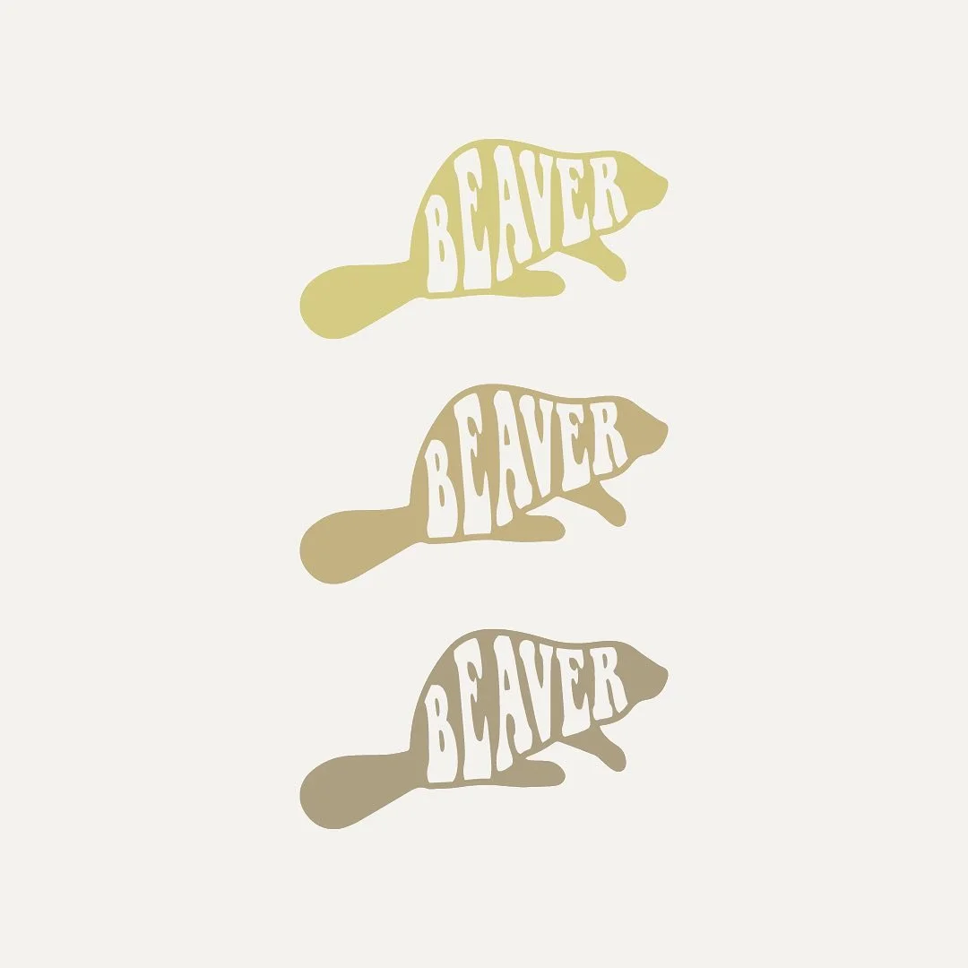 🦫 When you buy a motorcycle from Beaver, PA, you make a decal&hellip;right? Had fun with this one!
.
.
.
#beaverlogo #beaverpa #beaverpennsylvania #logodesign #decal #customdecal #motorcycledecal #graphicdesign #graphicdesigner #customdesign