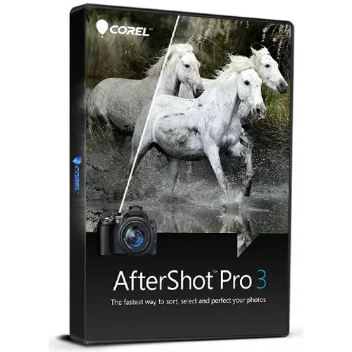 corelafter3__nologo -500x500.webp