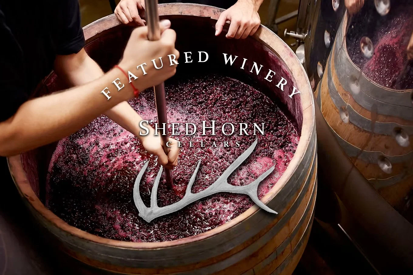 Shedhorn Cellars