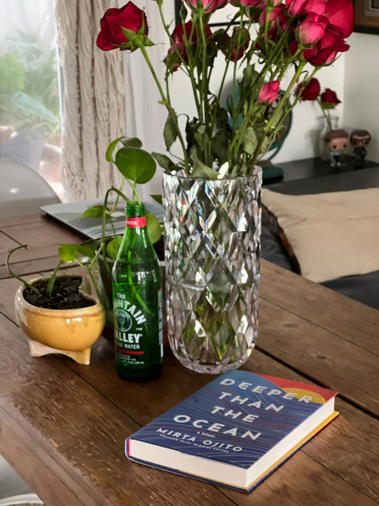 It&rsquo;s so good to have friends&mdash;especially when they write beautiful books and make sure you come home from your travels and find their babies, worked on for so long, waiting for you. 

This one is Mirta Ojito&rsquo;s new novel, DEEPER THAN 