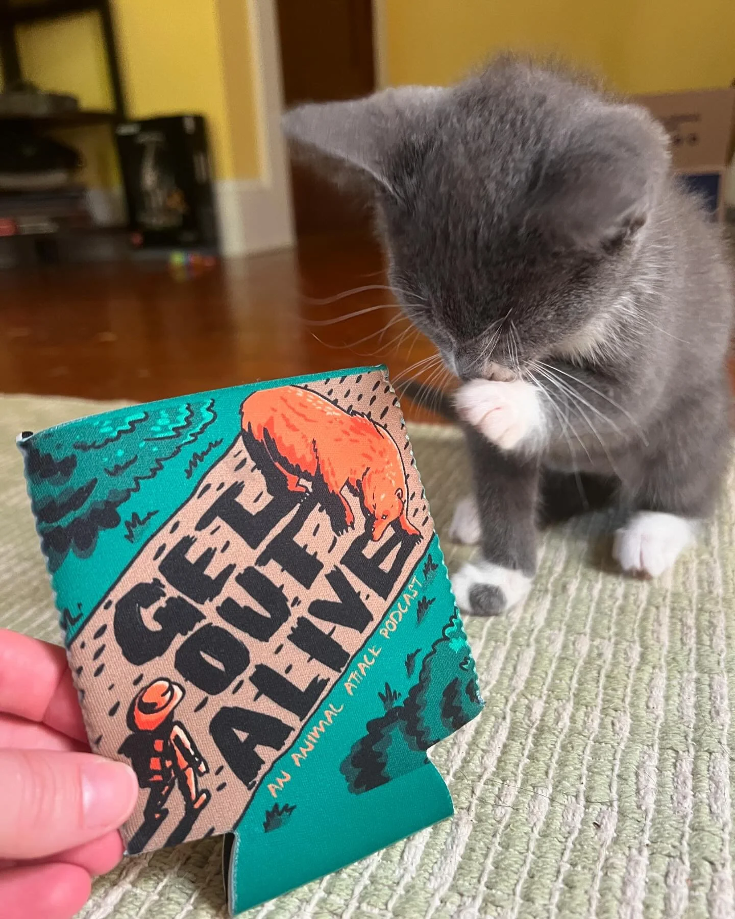 Last day for GOA Koozie pre-orders! This product is approved by our newest addition, Gus 😺🍻 To pre-order, visit the link in our bio or visit our website, getoutalivepodcast.com !