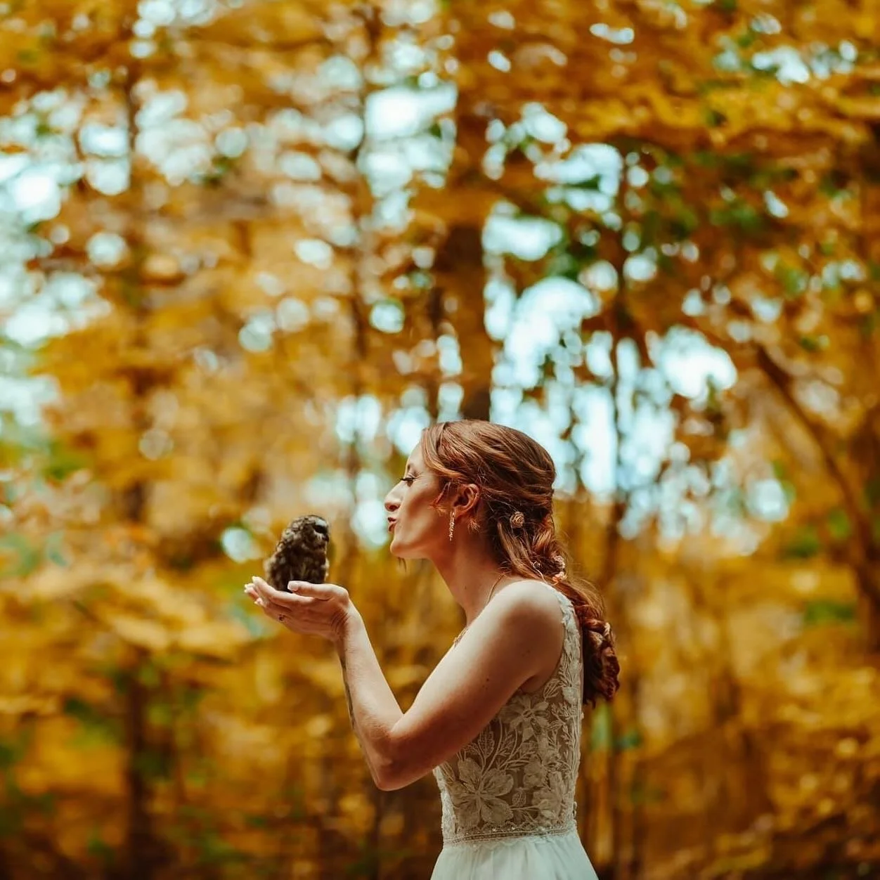 The reason we&rsquo;ve been on hiatus&hellip;I (Ashley) got married! 🥳 
The photographer and I had so much fun at @nhnature, and we cannot thank the staff enough for letting us take pictures with this Saw-whet owl (this is photoshopped - the owl was