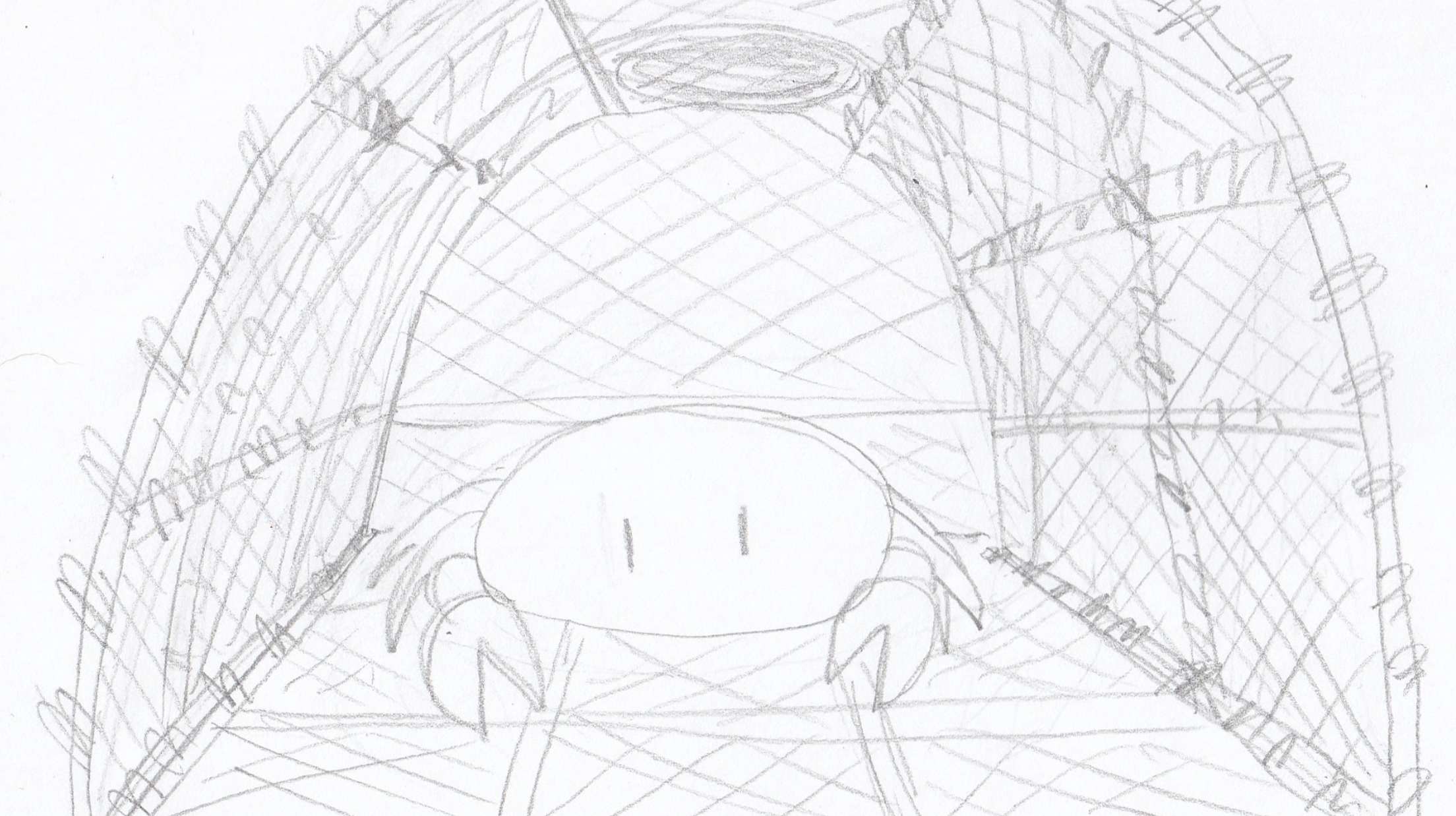 3. first meeting crab animatic.png